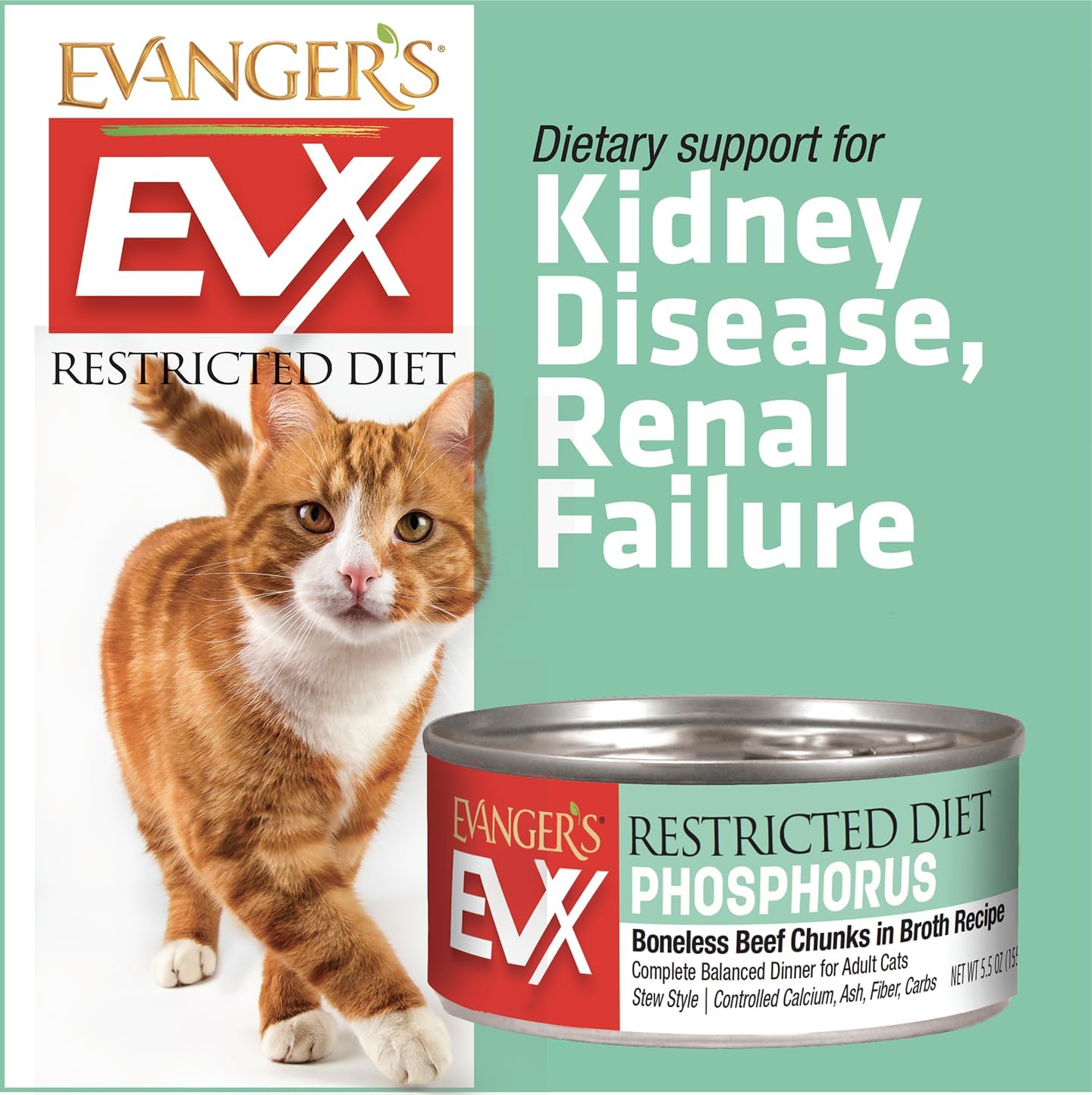 Evanger's EVX Boneless Beef Cat Food in Broth – 24 Count, 5.5 oz Each – Beef Chunks with Cranberries – Simple Recipe, Soft Pâté Style