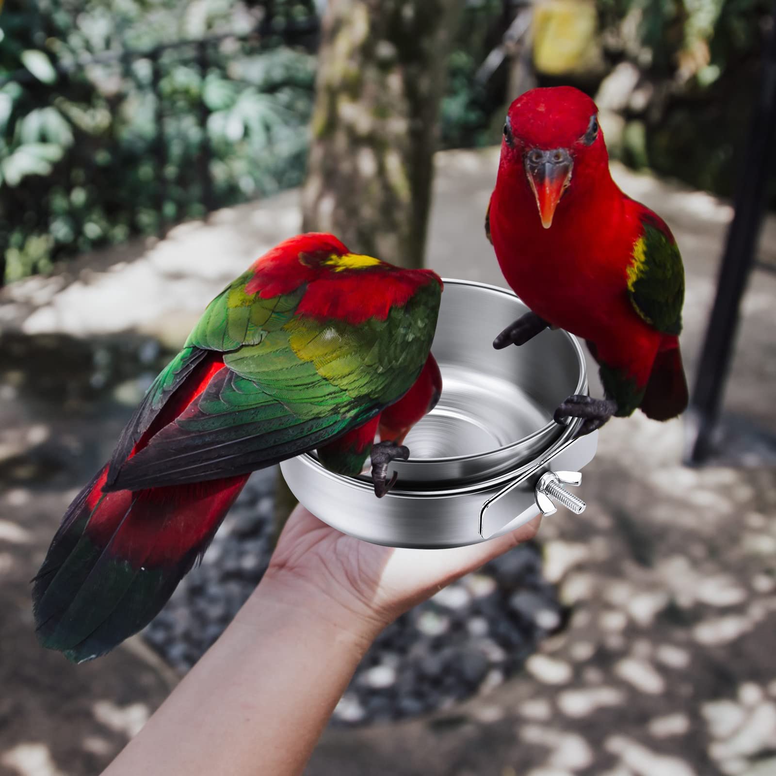 Aoriher 4 Pack Large Bird Feeding Dish Cups 30 oz Stainless Steel Parrot Feeders Food Water Cage Bowls with Clamp Holder for Cockatiel Conure Budgies Parakeet Macaw Small Dog Cat Animal - image 2