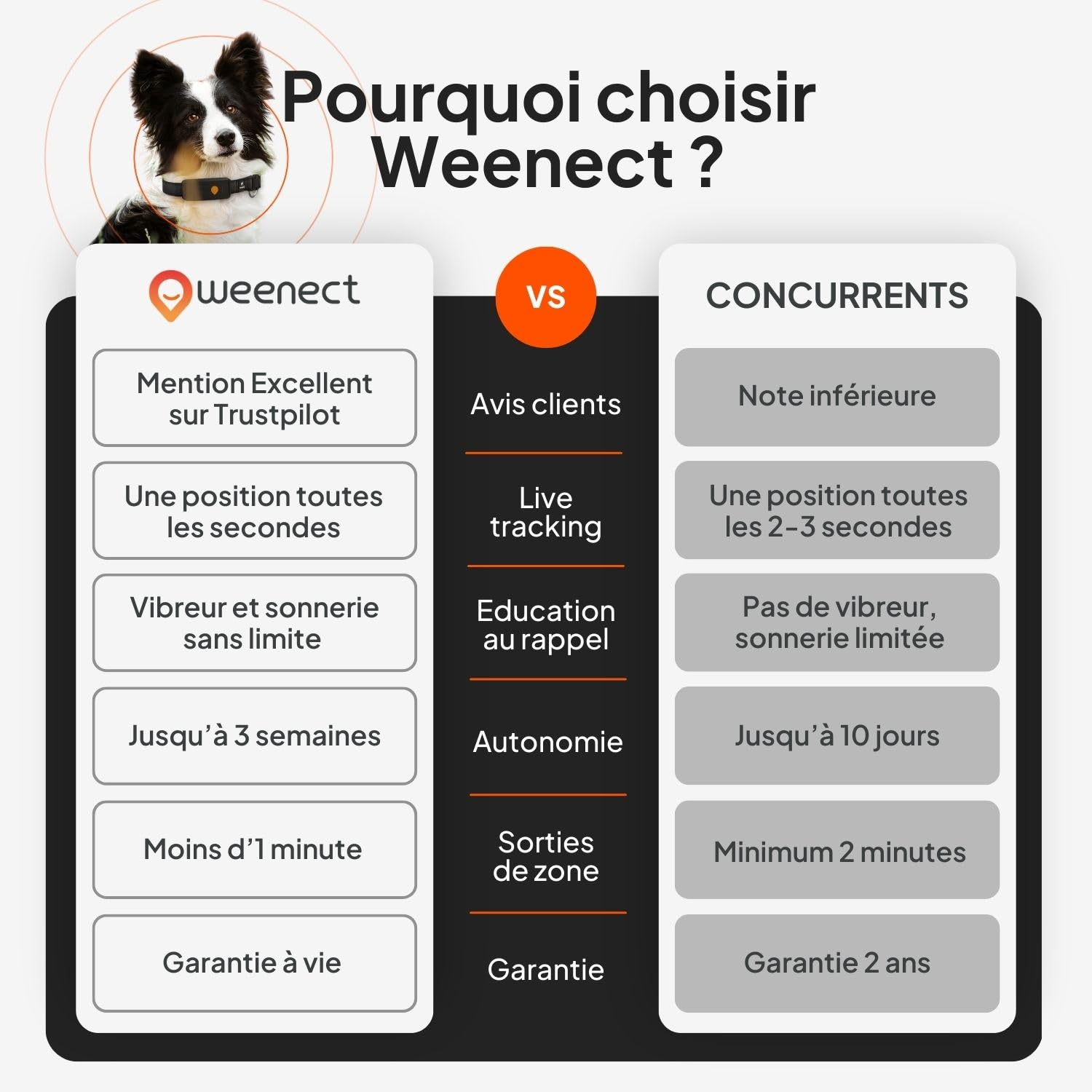 Weenect Chien XT - Nouveau Collier GPS pour Chien | Antenne XL | Etanche | Collier Hyper résistant intégré Julius-K9 | Garantie à Vie | Abonnement Requis