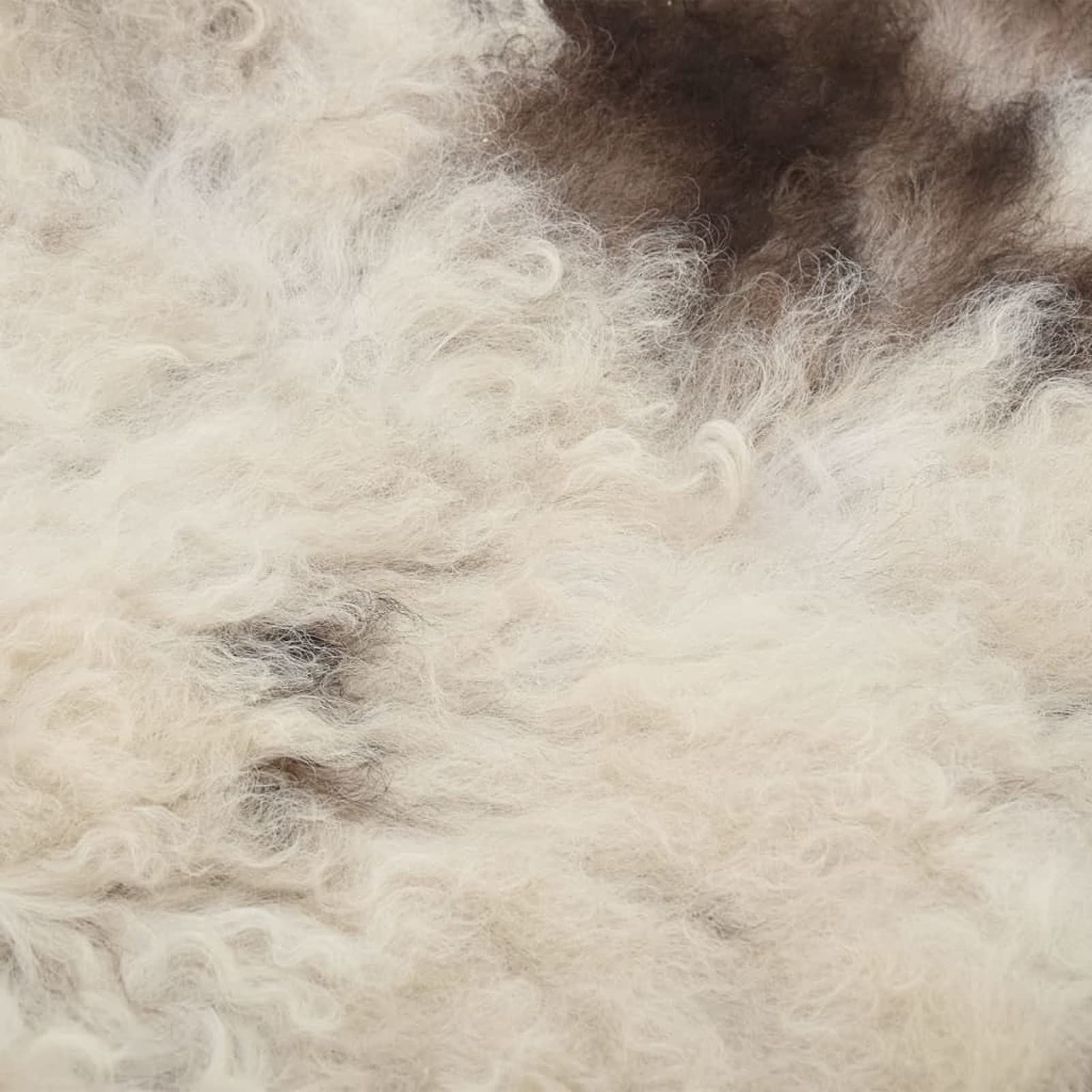 Tidyard Peau de Mouton Couleur mélangée 70x100 cm, Tapis de Sol pour Salons, Chambres à Coucher, Couloirs, Bureaux