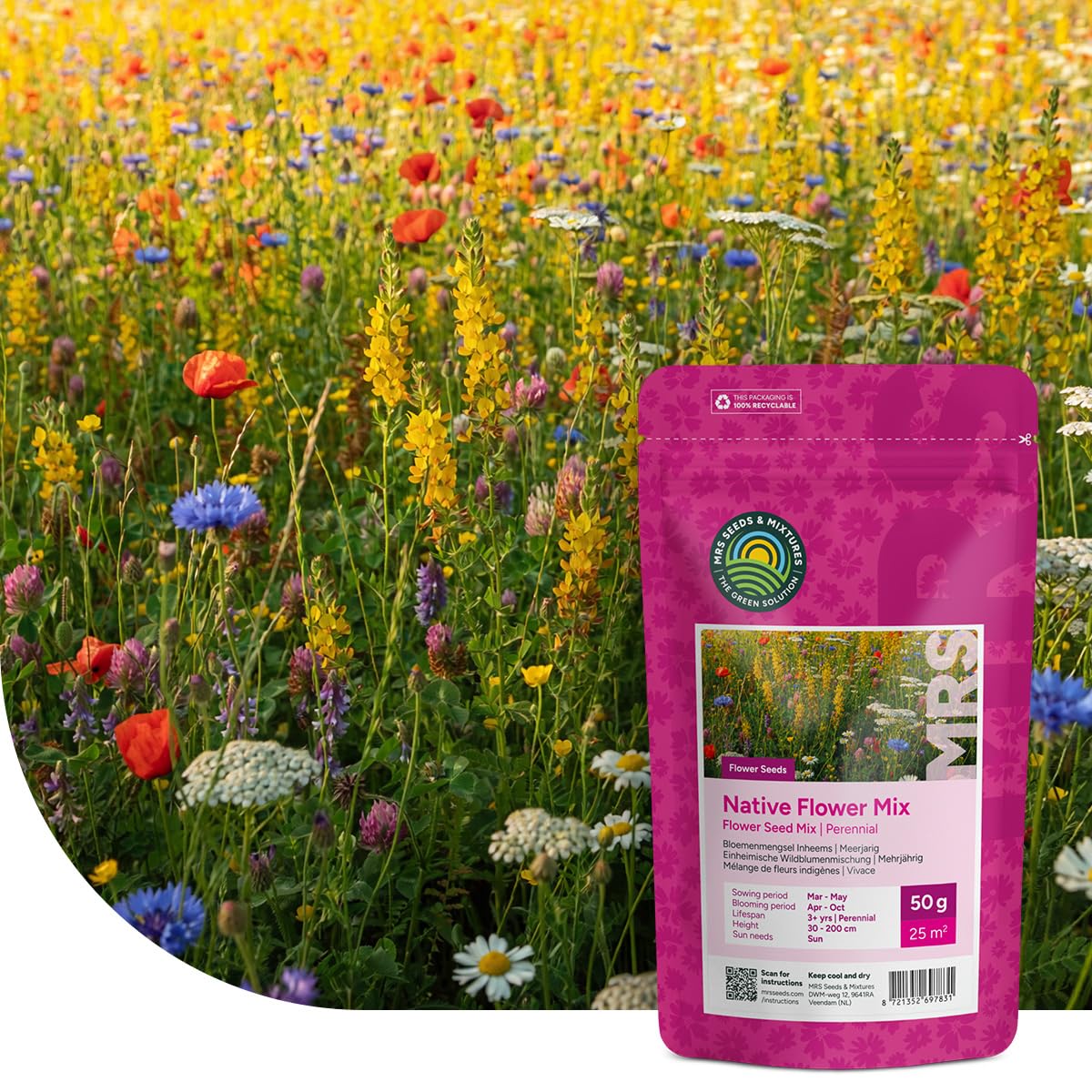 MRS Mélange de Fleurs Indigènes - Graines de Fleurs Vivaces et Annuelles - 1 kg (500 m²) - Favorise la Biodiversité - Attire Papillons, Bourdons et Abeilles