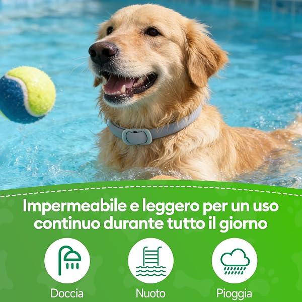 Collar Antiparasitario Perros, 2 Piezas Collar Ajustable y Resistente al Agua para 12 Meses, Repelente Duradero para la Prevención de Parásitos en Razas Pequeñas, Medianas y Grandes (65 cm) - 5