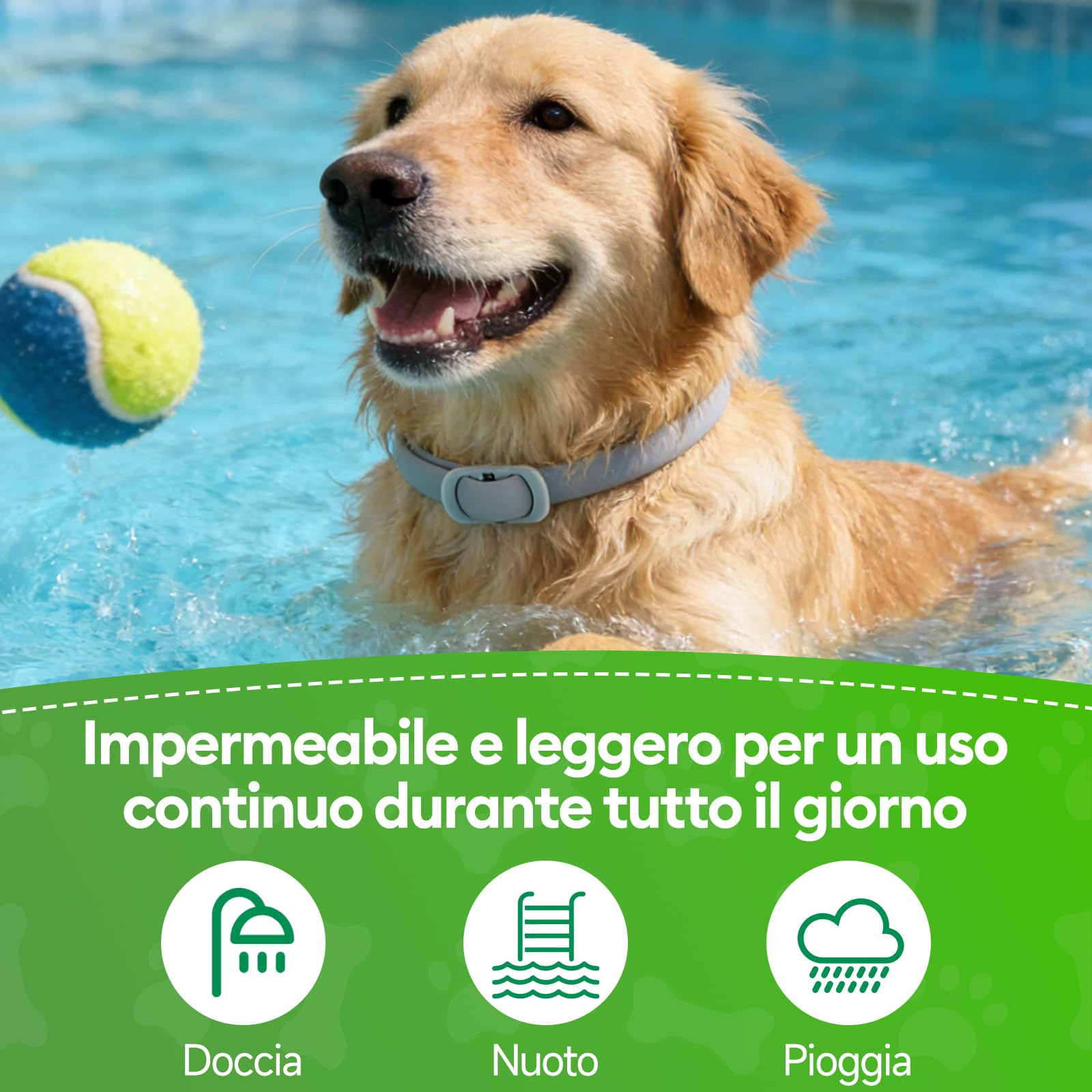 Collar Antiparasitario Perros, 2 Piezas Collar Ajustable y Resistente al Agua para 12 Meses, Repelente Duradero para la Prevención de Parásitos en Razas Pequeñas, Medianas y Grandes (65 cm) — view 5