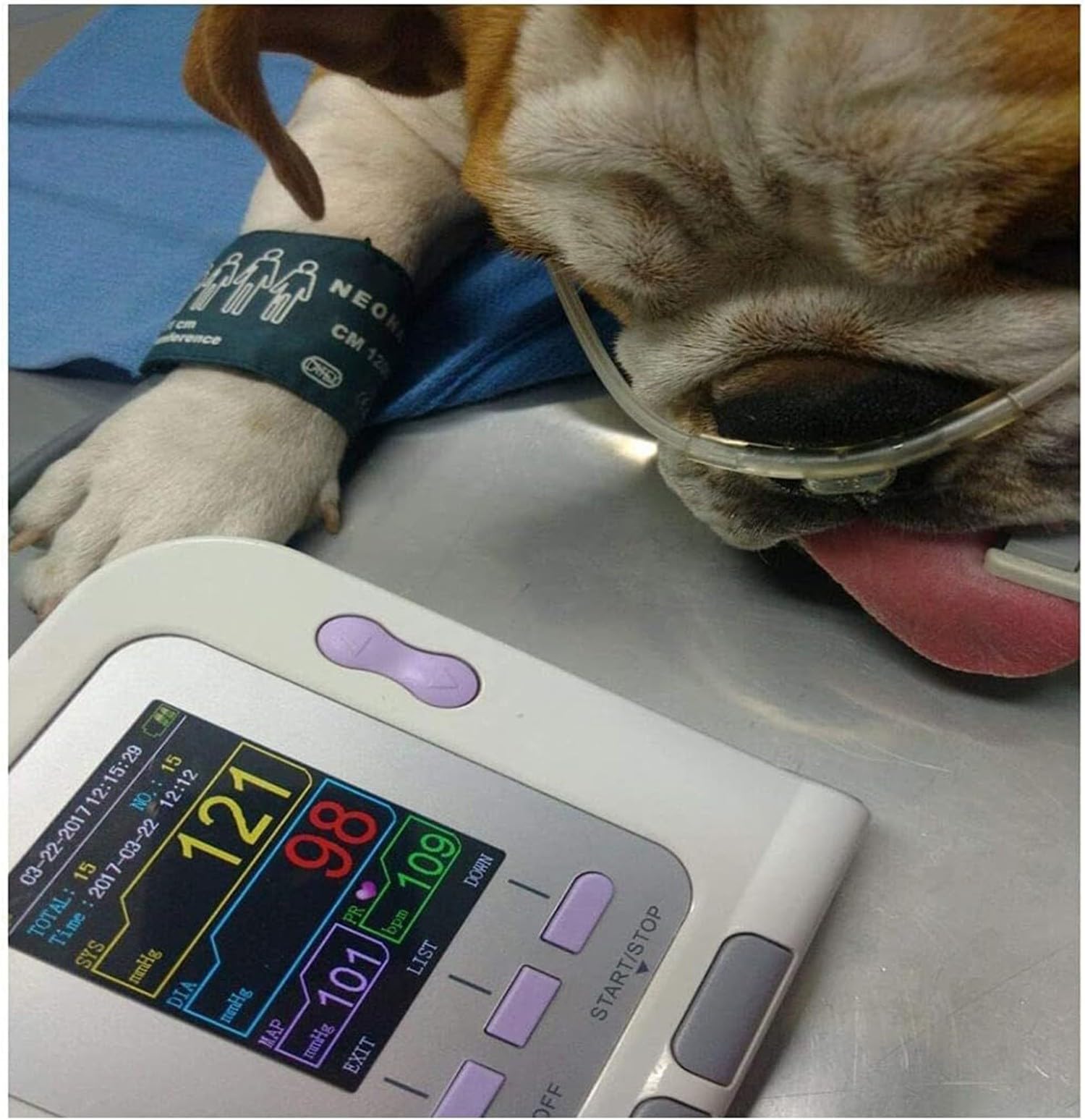 Máquina BP para Uso Animal, Digital Veterinario Medidor Tension Arteria, Medidor Tension Arterial con 3 Puños,100 Juegos De Memoria Almacenada para Perros Gatos Mascot,Tensiometro De Brazo