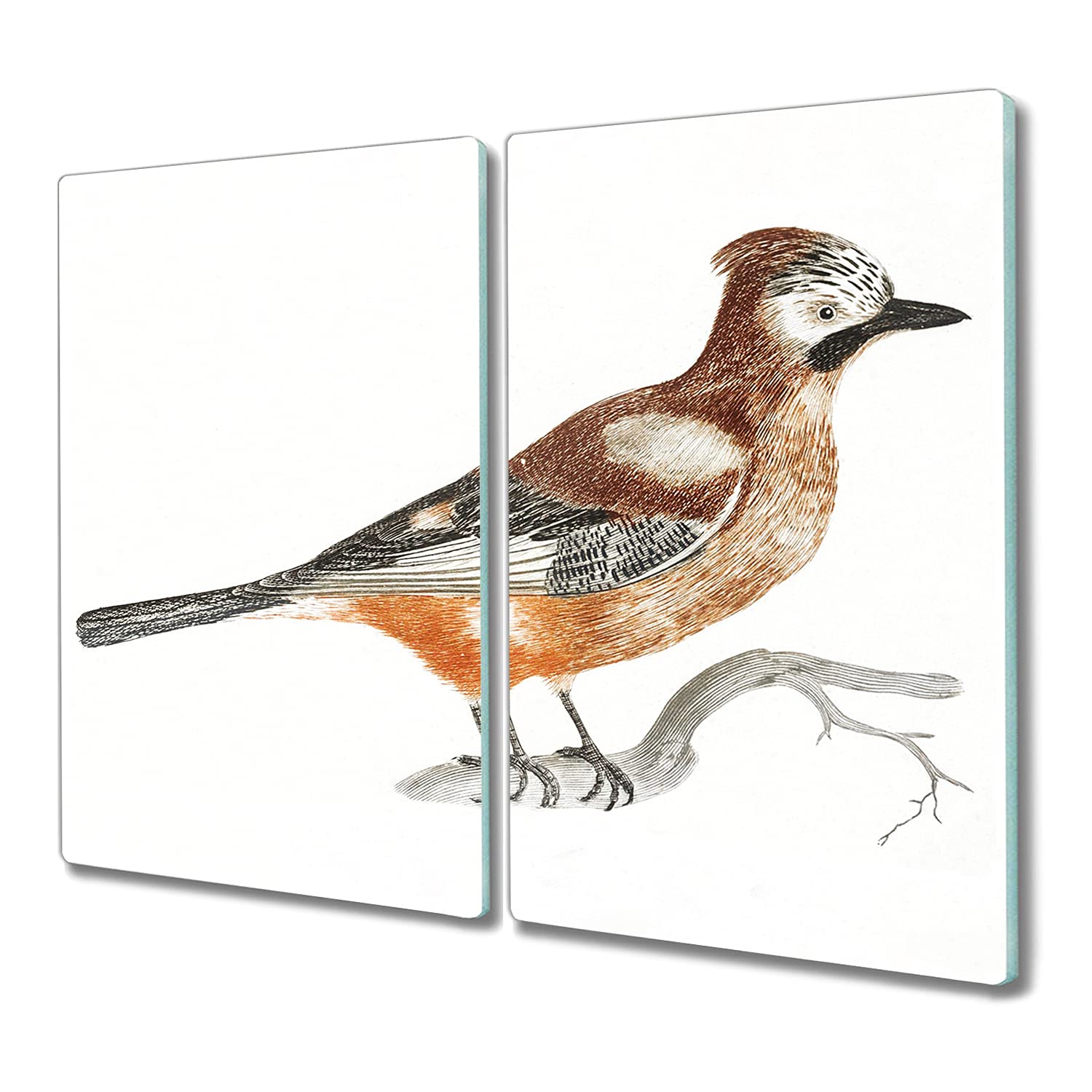 Verre de sécurité induction cuisson 2x30x52cm finition premium motif oiseau