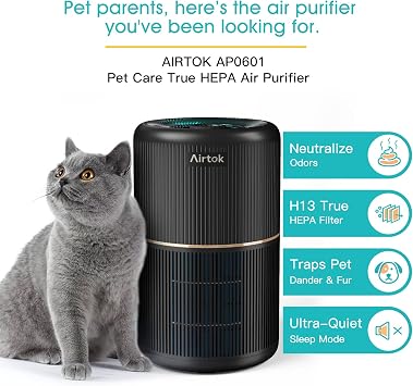 AIRTOK 2 Pack Air Purifier for Home Bedroom, Office Desktop Air Cleaners with 12pcs Fragrance Sponge, H13 HEPA Filter, 4 Stage Filtration up to 376 sqft Black Available for California