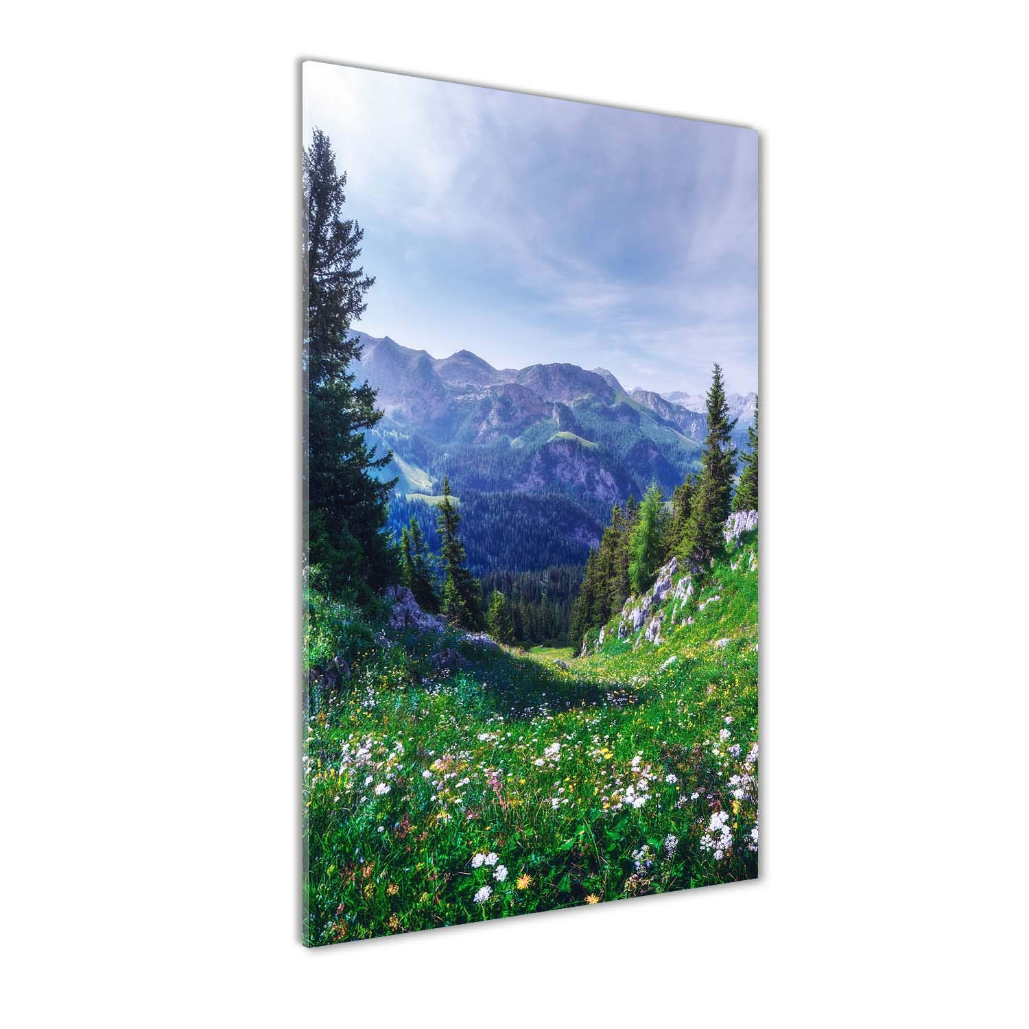 Déco mural derrière le plastique acrylique Tulup 70x140 pour raviver un mur sombre et vide