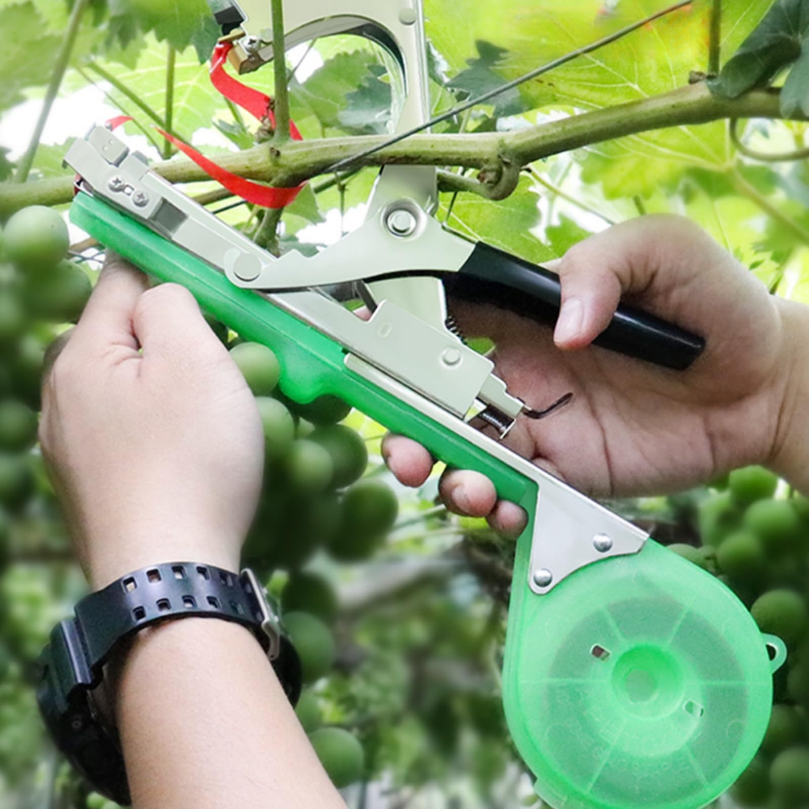 Pflanzenbindegerät, Garten Bindemaschine mit 10 Rollen Pflanzenband und Heftklammern, Plant Tying Tool,für Trauben, Himbeeren, Tomaten und Weingemüse (2#)