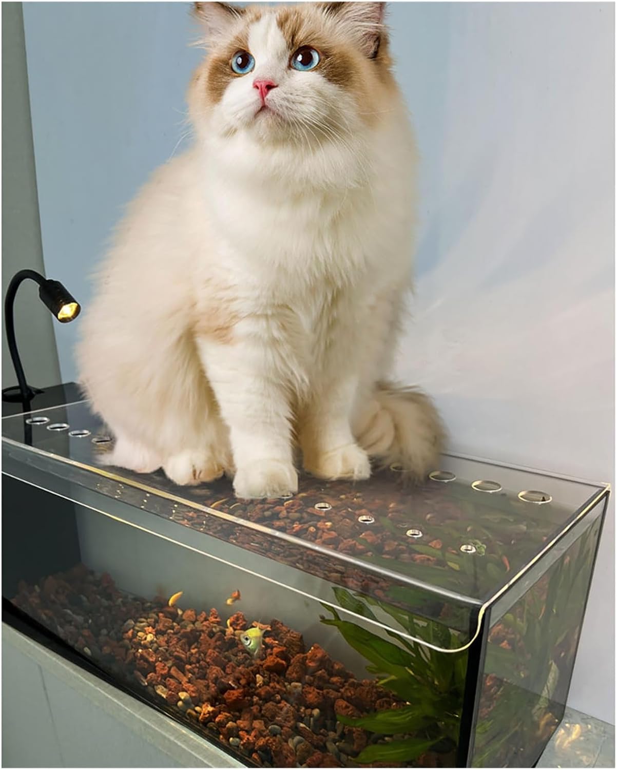 Cat Proof Fish Tank Lid, Custom Fish Tank Hood Cover, Jump Guard Aquarium Cover, Prevents Fish from Jumping Out(16x12in/40.64x30.48cm)