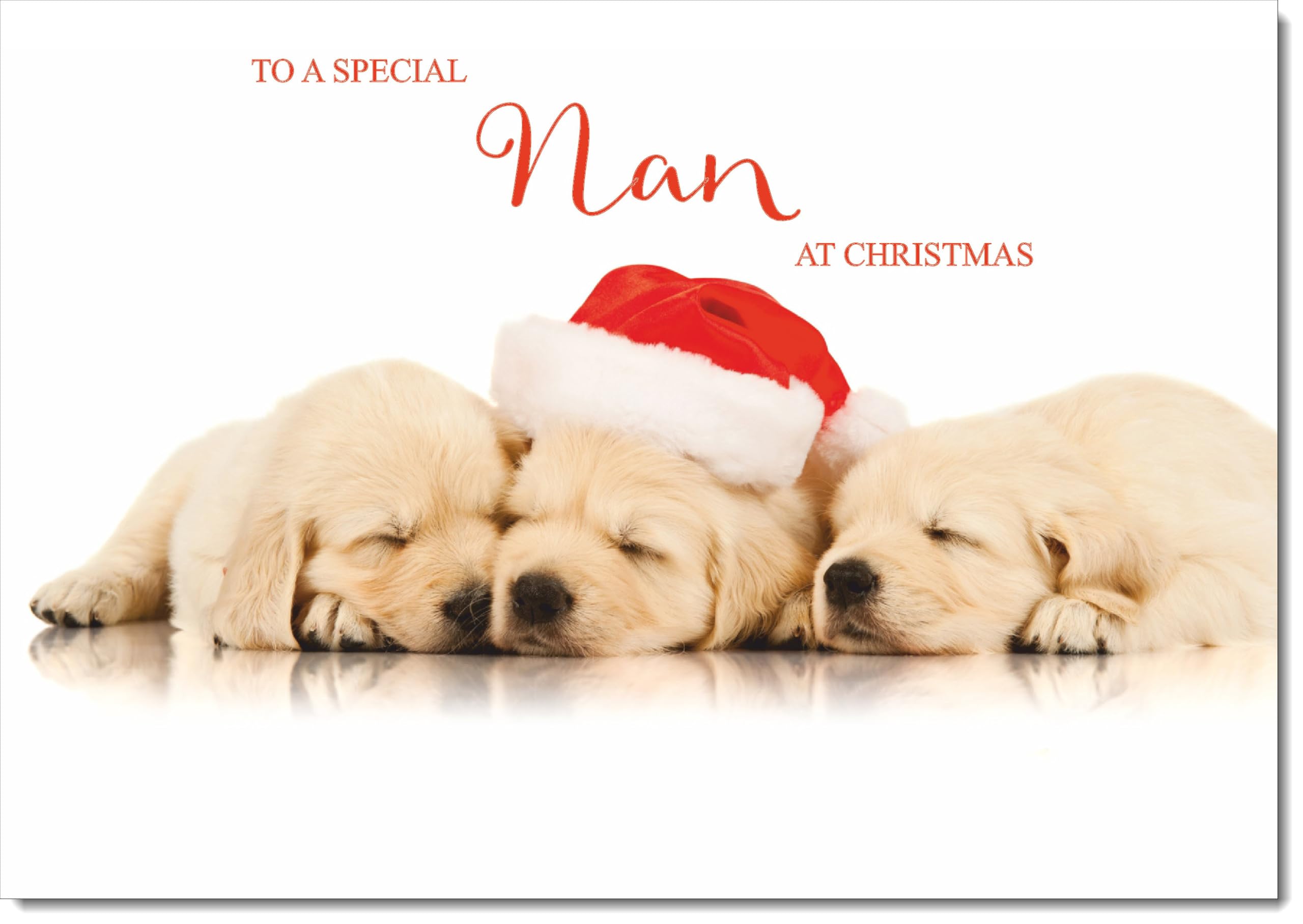 doodlecards Nan Christmas Card Puppies with Santa Hat Large A4 Size Christmas Card for Nan with Plain Envelope