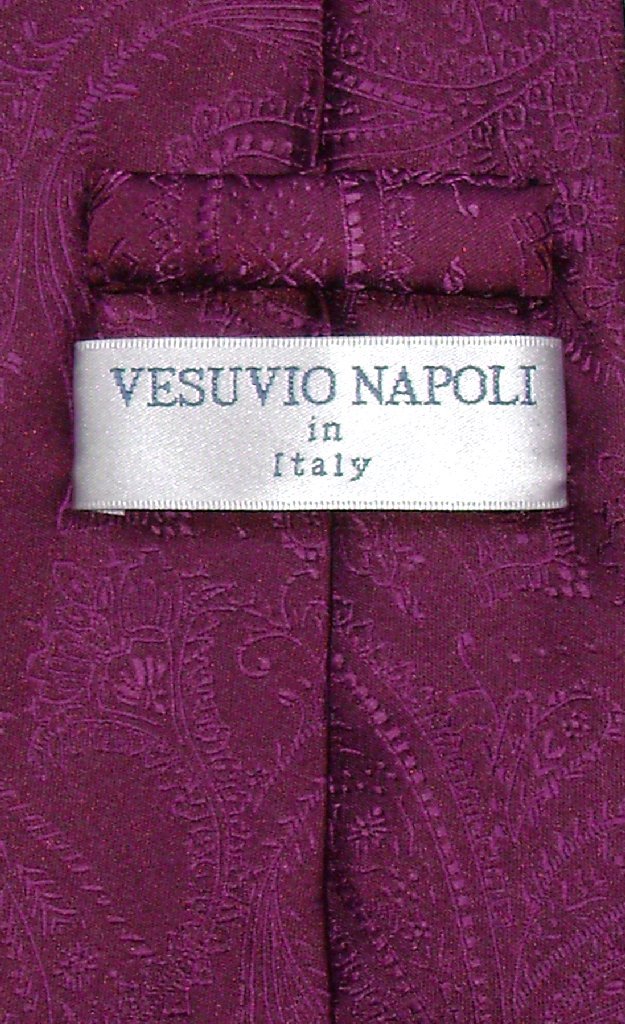 Vesuvio Napoli NeckTie EGGPLANT PURPLE Color Paisley Design Men's Neck Tie