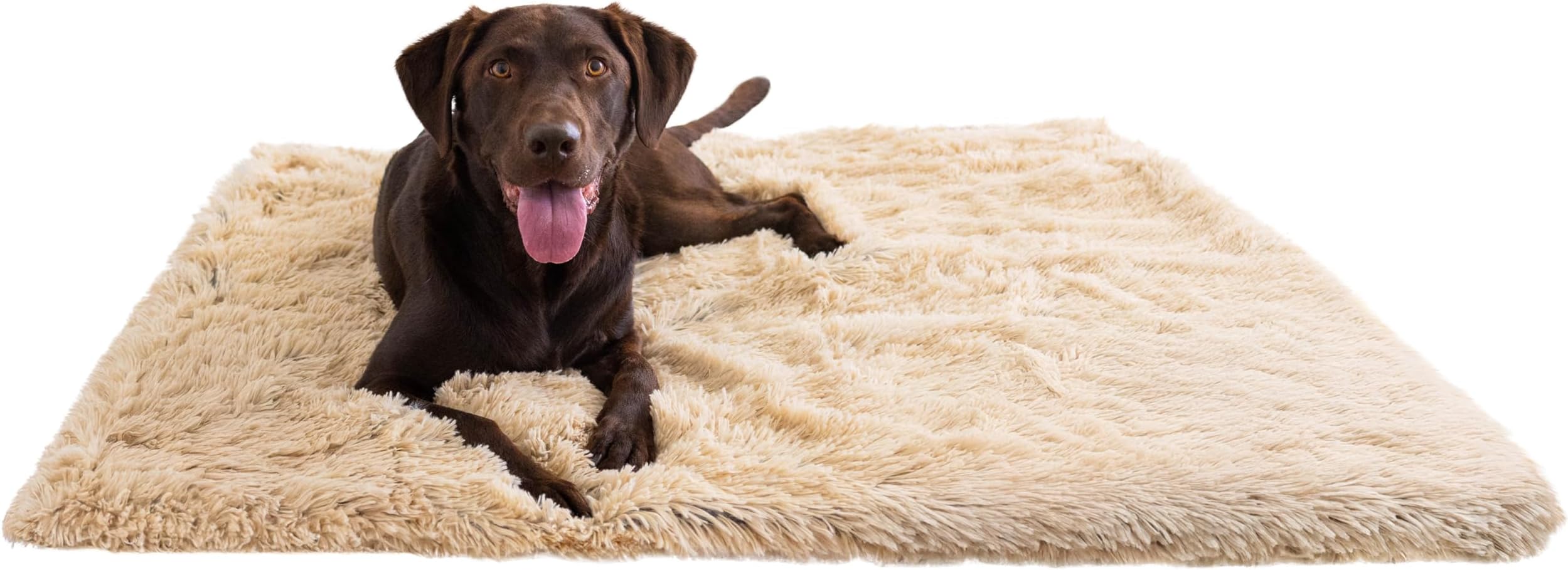 Best Friends by Sheri Calming Shag Dog Blanket, Taupe, 40" x 50"