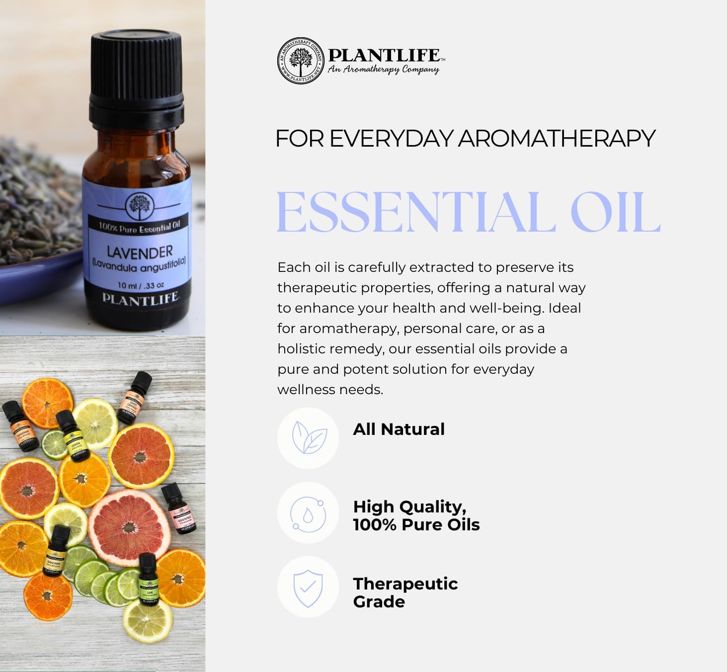 Plantlife Tea Tree Aromatherapy Essential Oil - Straight from The Plant 100% Pure Therapeutic Grade - No Additives or Fillers - 30 ml