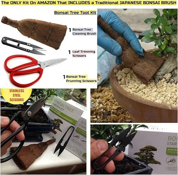Bonsai Tree KIT - Grow Your OWN Bonsai Trees from Seeds - Sustainable ECO Gardening Gift Set + Tool KIT. 5 Seed Varieties Germination Starter KIT - Great Gift IDEA for Women & Men. Beginner-Friendly