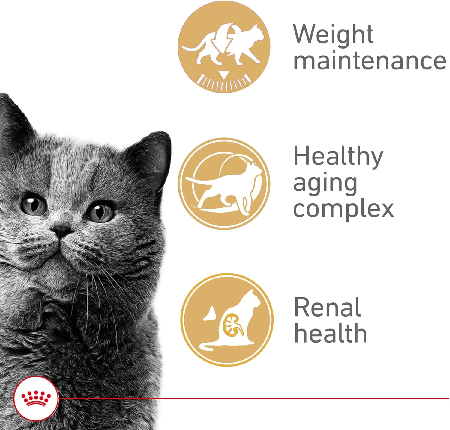 Royal Canin Feline Health Nutrition Aging Spayed/Neutered Senior Dry Cat Food, 7 lb Bag