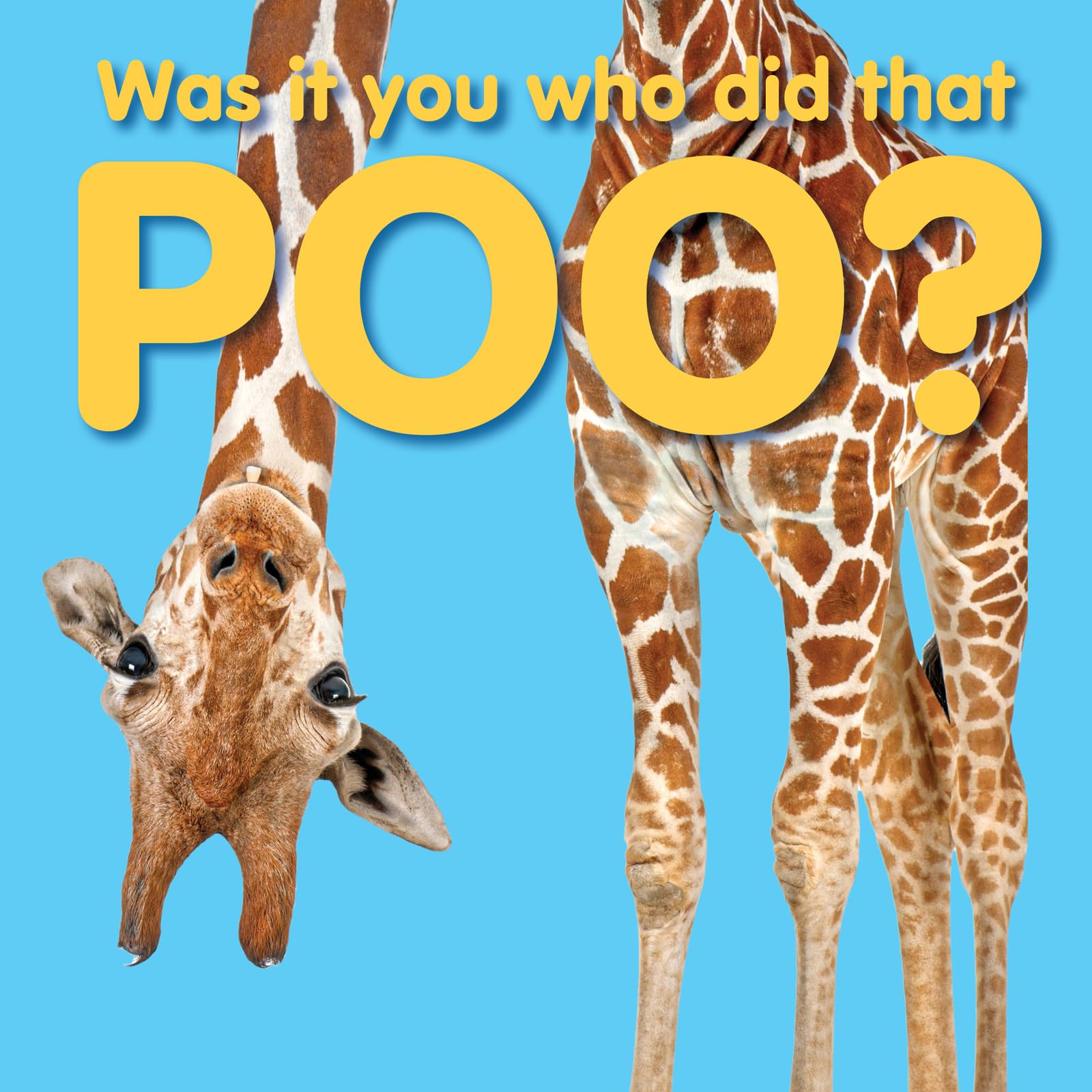 Was It You Who Did That Poo?