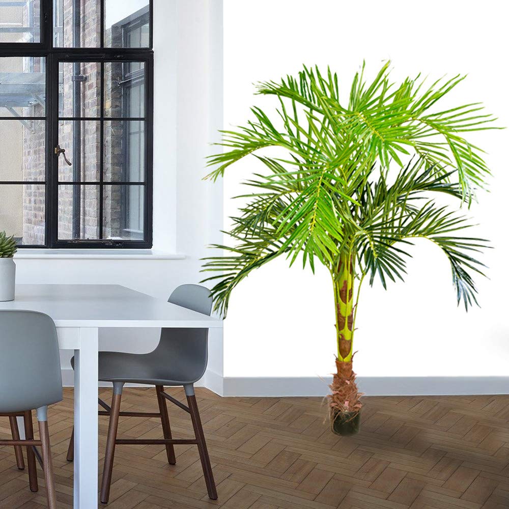 Decovego Palmizio Palma Artificiale Albero Pianta Artificiale Selezione, Selezione pianta di Palma:Palma Modello 3 (180 cm)