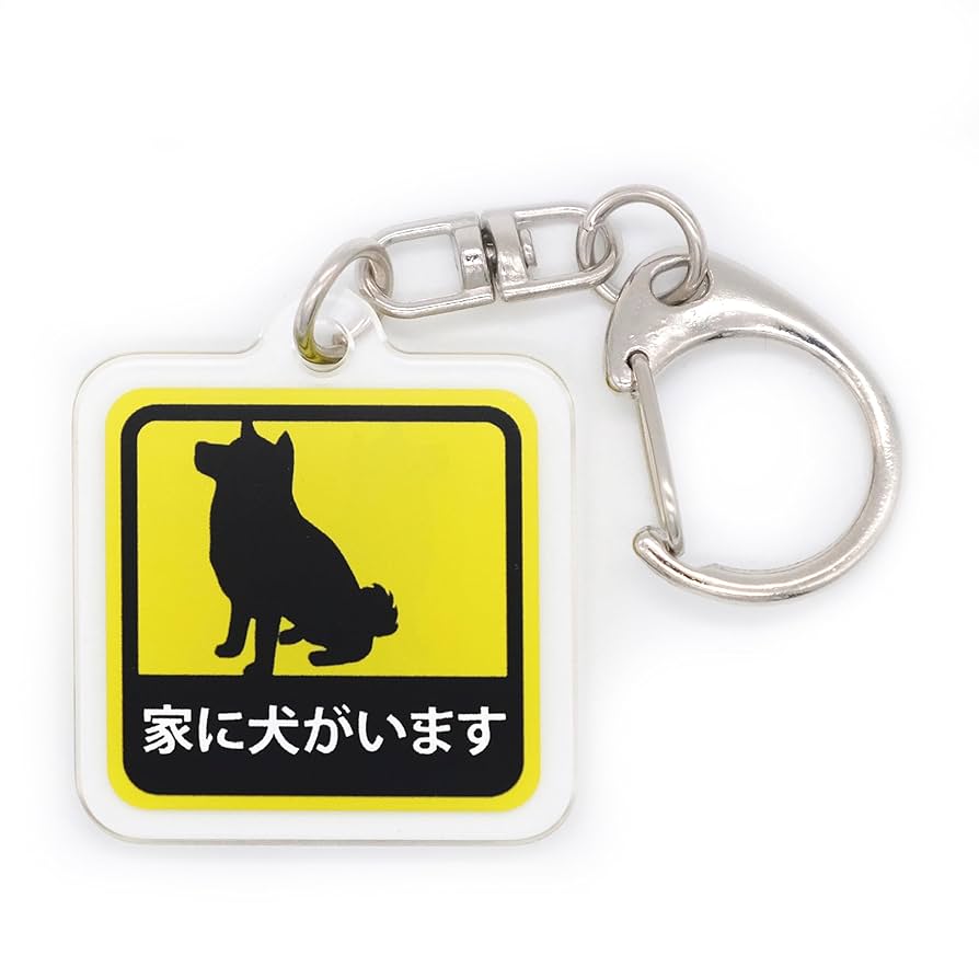 【柴犬】カイカイ カイカイしてる途中で大あくび🥱 #柴犬 #しばいぬ #しば #柴