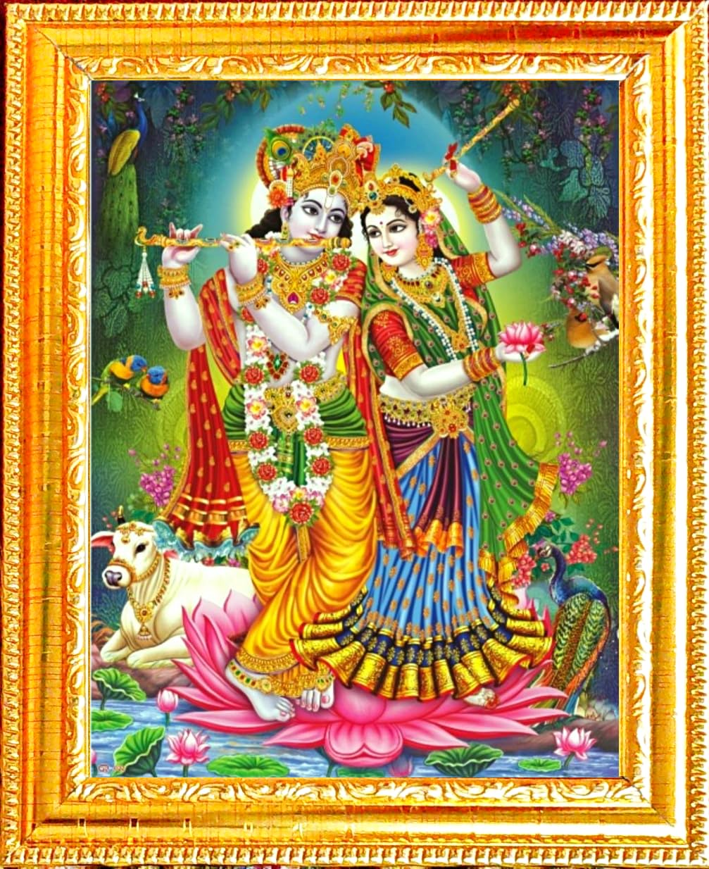 Suninow Big Size 5D Photos of God and Goddess (12 x 16 inch) (with frame) (5d radha krishna) (B0CCJYGSVC) Amazon Price History, Amazon Price Tracker
