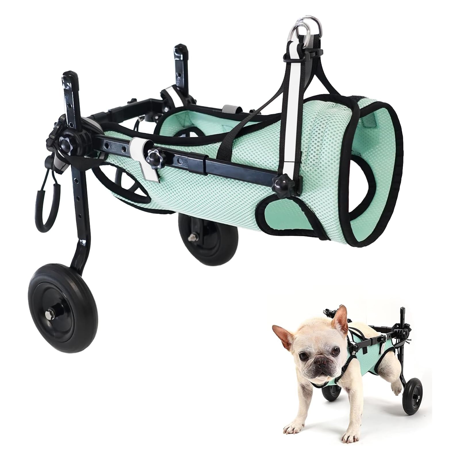 Adjustable Dog Wheelchair for Back Legs, 2-Wheel Pet Mobility Aid for Disabled Dogs, Mint Green Doggy Wheelchair for Improved Walking Support