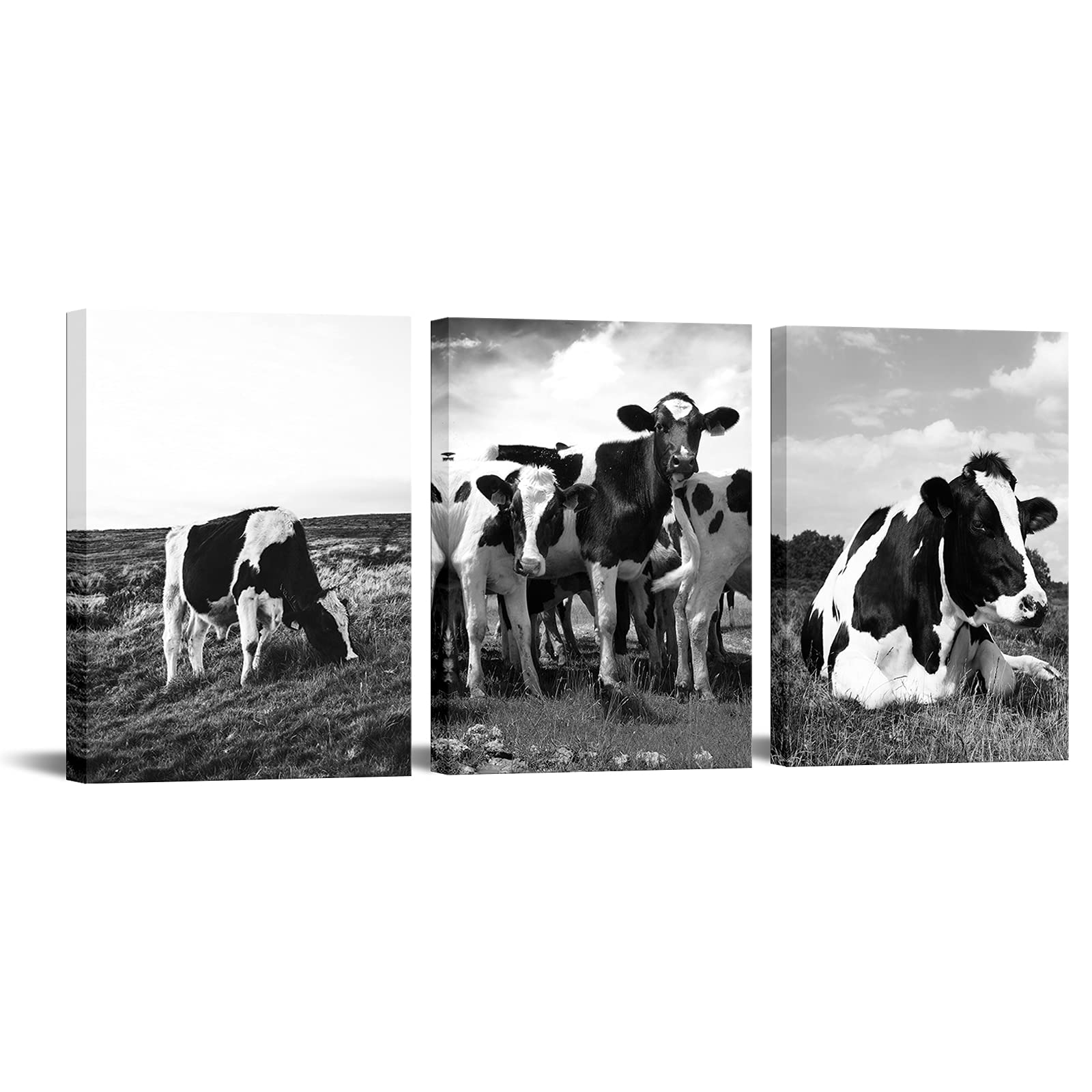 Nachic Wall 3 Piece Farm Animal Canvas Wall Art Black and White Milk Cow Pictures Animal Painting Prints Framed Art Vintage Home Cabin Farmhouse Decorations