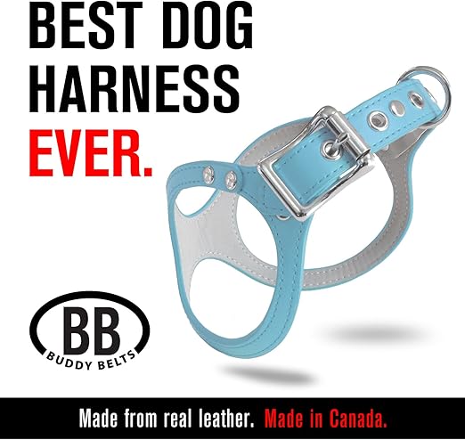 Buddy belt harness amazon Clearance
