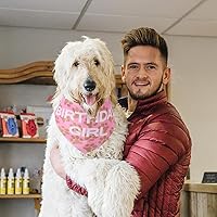 Vista 2 de Suministros para fiesta de cumpleaños de perros para niños y niñas, bufanda triangular con corona de cumpleaños para perros para todas las razas