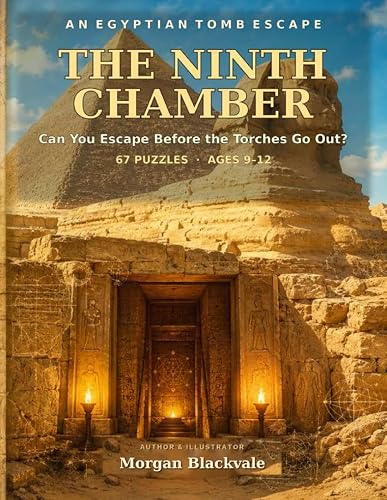 The Ninth Chamber book cover