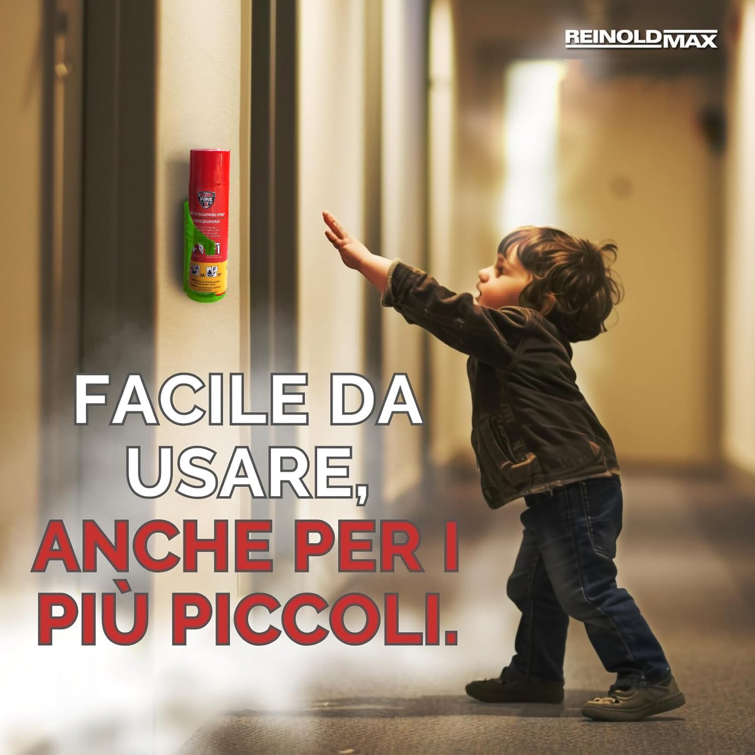 2X Reinoldmax Estintore Casa, Piccolo Aerosol Estintori Per Casa, Mini Estintori Spray per Cucina, Campeggio, Camper, Casa, Camino, Auto, Estintore Elettrico, Accessori Per Auto