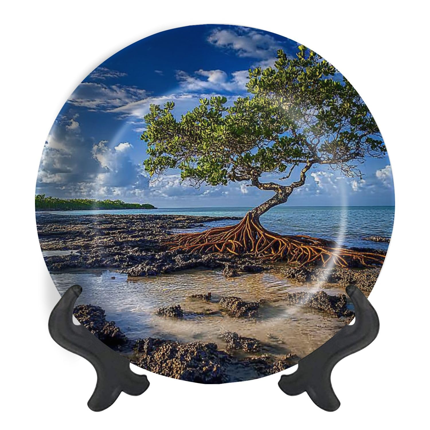 Decorative Plates for Display Mangrove Sunrise Spanish Harbor Key Gift Plates Ceramic Collections Plates Hanging Artwork for Living Dining Room Kitchen Souvenir