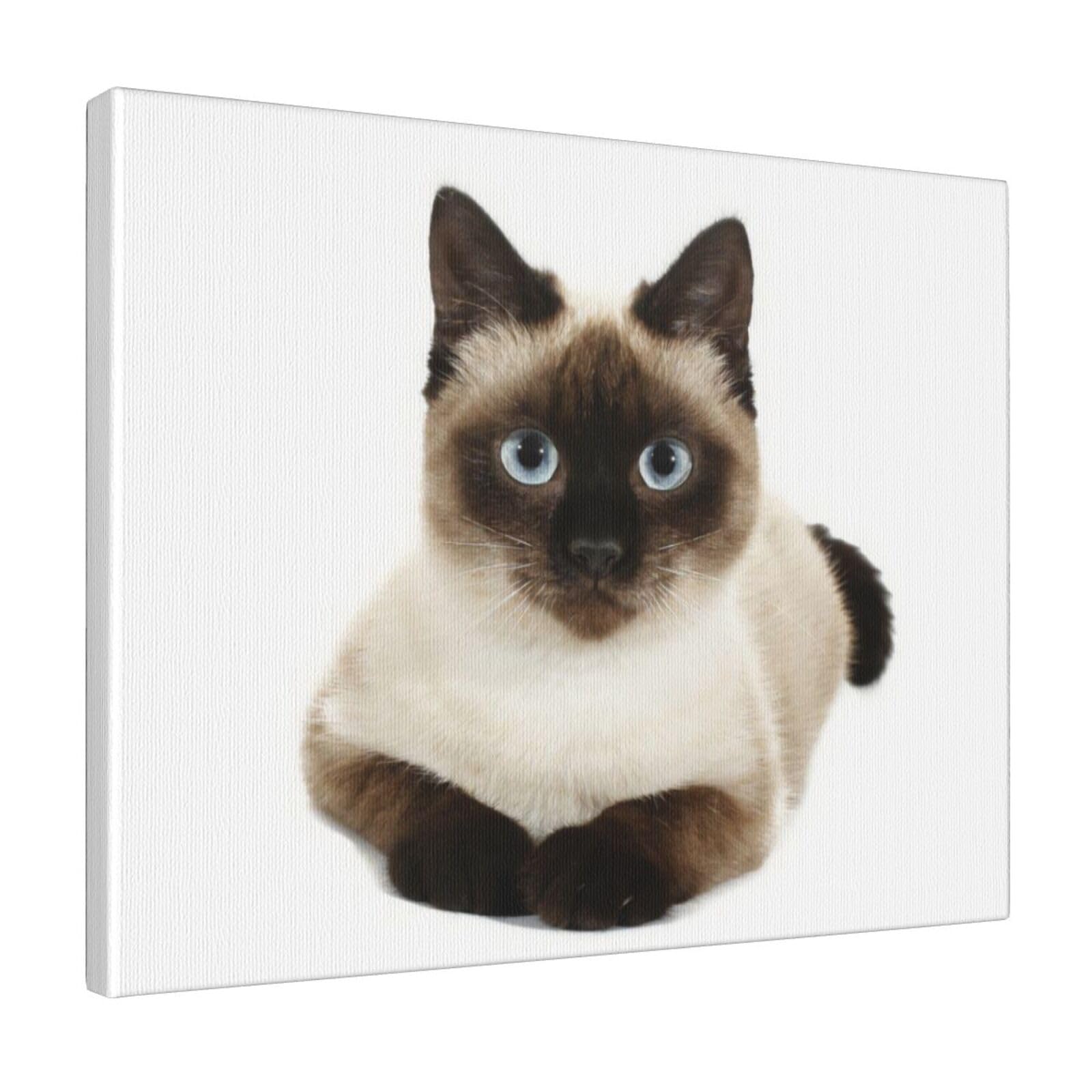 Amazon.co.jp: Chioee アートパネル ポスター 絵画 シャム猫
