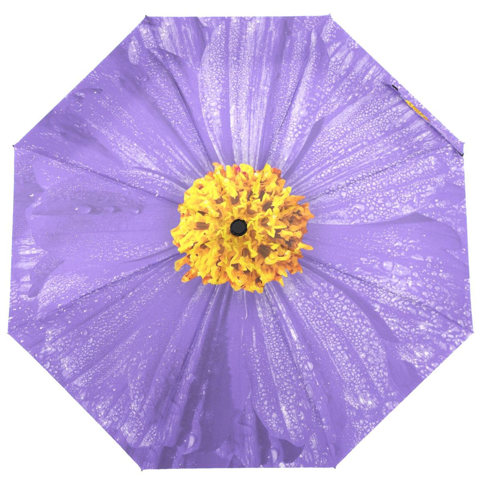 Khulula Automatic Auto Open Close Compact Printed Travel Umbrella for Rain Water-Resistant Mini Small Size Lightweight Folding Umbrella