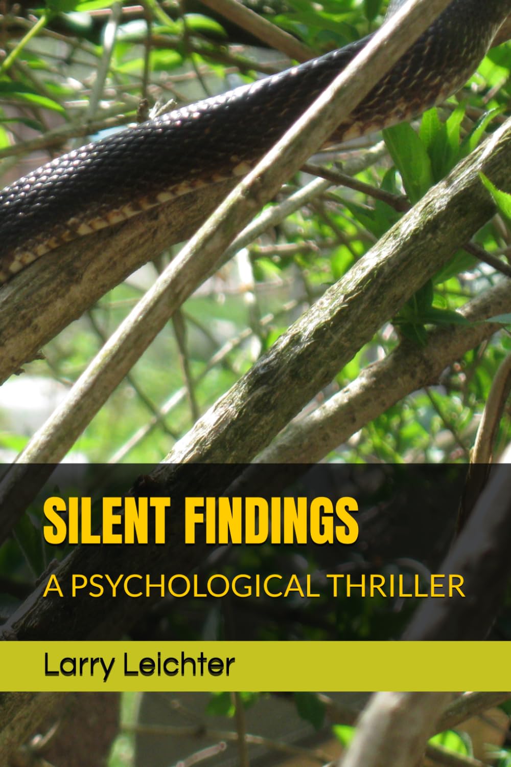 SILENT FINDINGS: A PSYCHOLOGICAL THRILLER