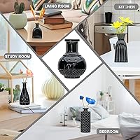 Vista 5 de Brajttt Juego de jarrones de flores negros, jarrón de cristal a granel juego de 8, mini jarrones de sabor artístico y cultural para decoración