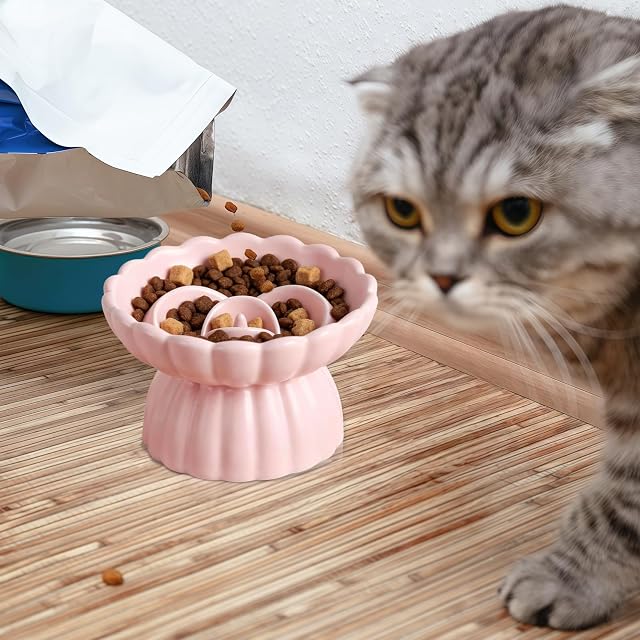 Foto 7 de 7 de Comedero antienredos para gatos y perros pequeños, de cerámica, para gatos y perros pequeños
