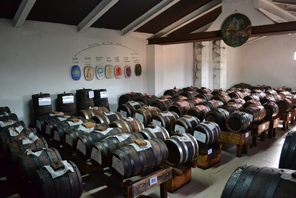 Aceto Balsamico Tradizionale di Modena dop GUERZONI – invecchiato almeno 12 anni - Biologico, Biodinamico (Demeter), Vegano, Vegetariano, senza OGM – Confezione 1 Bottiglia da 100 ml