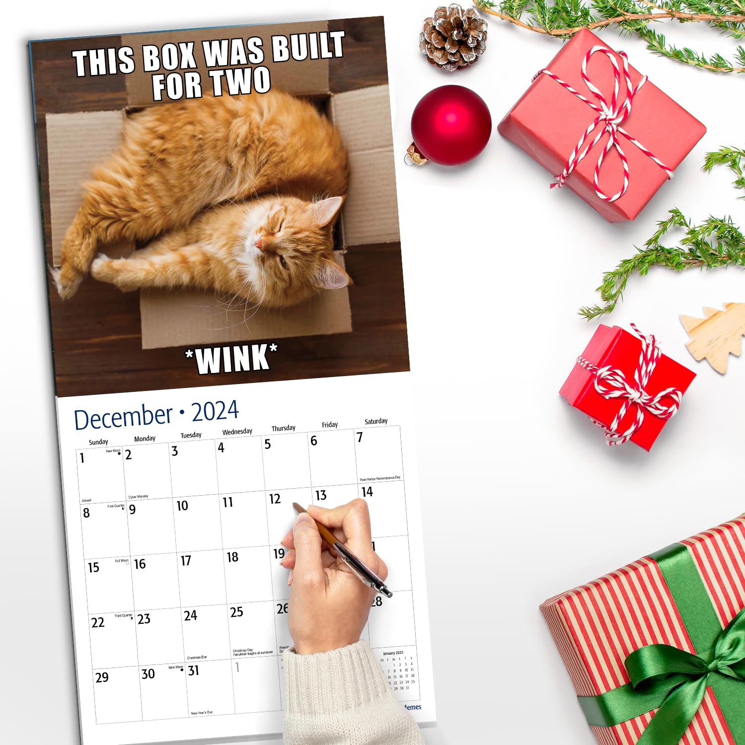 Red Ember Cat Memes 2024 Hangable Monthly Wall Calendar 12