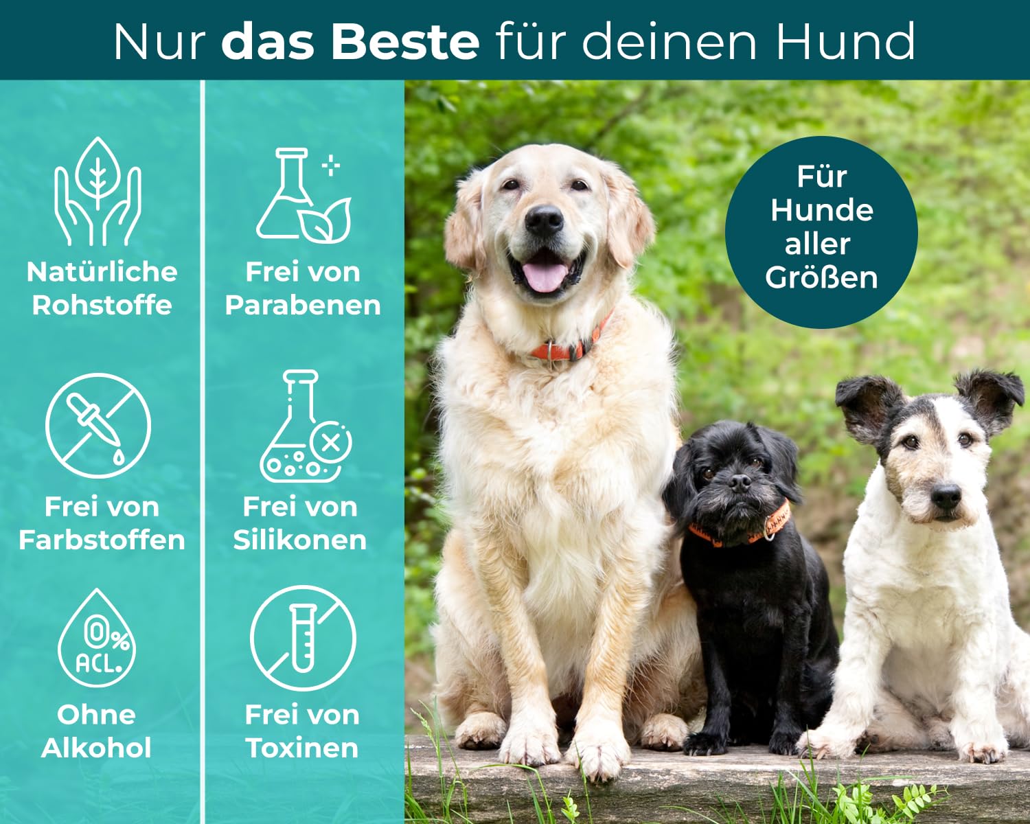 Spot On für Hunde Zecken- und Floh Schutz, Effektiver Zeckenschutz für den Hund, 3 Monate Langzeitwirkung gegen Zecken im Jahresvorrat für alle Hundegrößen