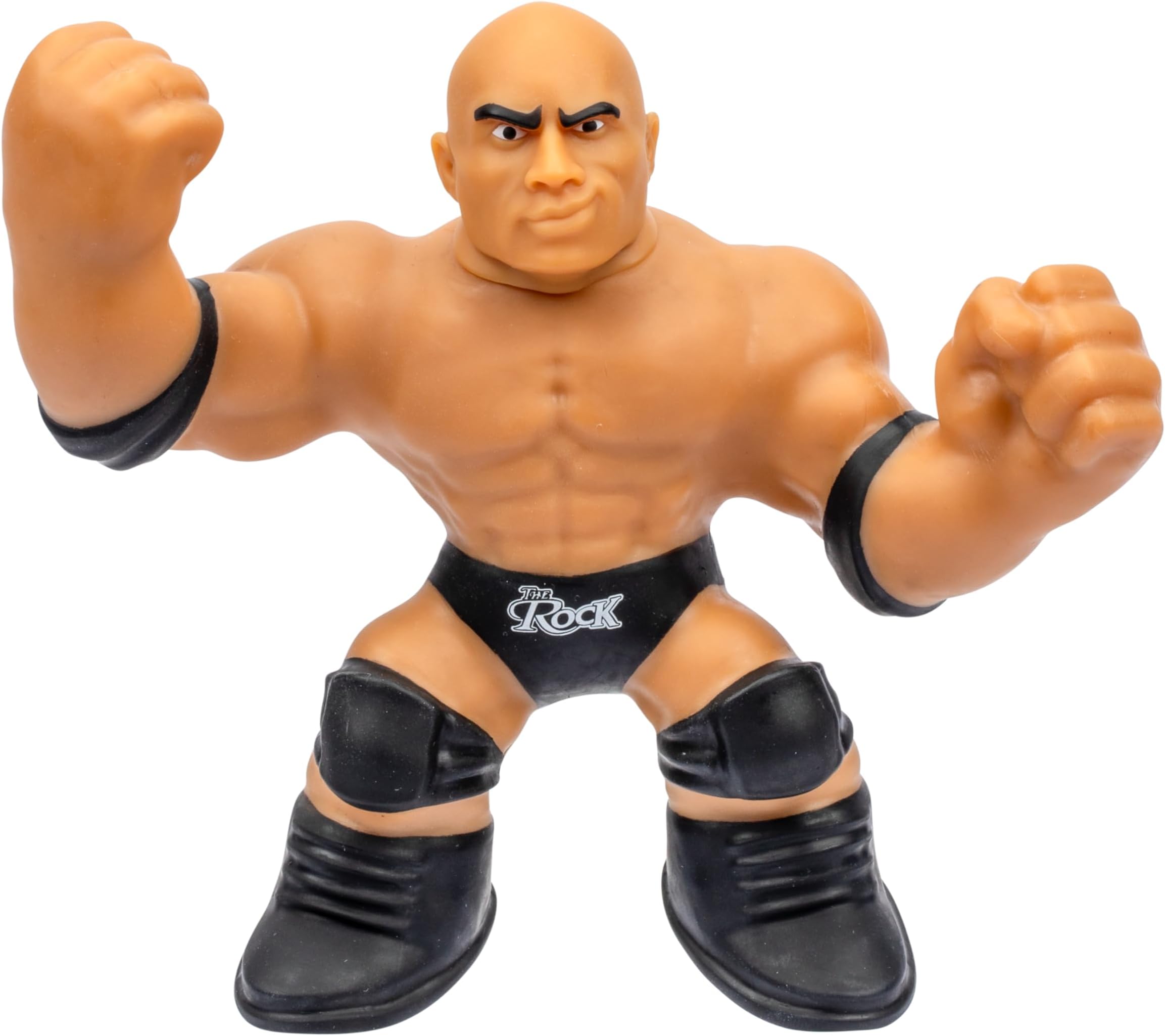 Heroes of Goo Jit Zu WWE W2 Hero Pk The Rock