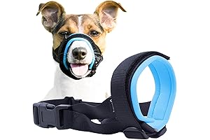 A Guard That Protects Yet Doesn't Agitate: Gentle Muzzle for Your Chihuahua
