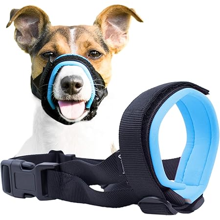 cute muzzle
