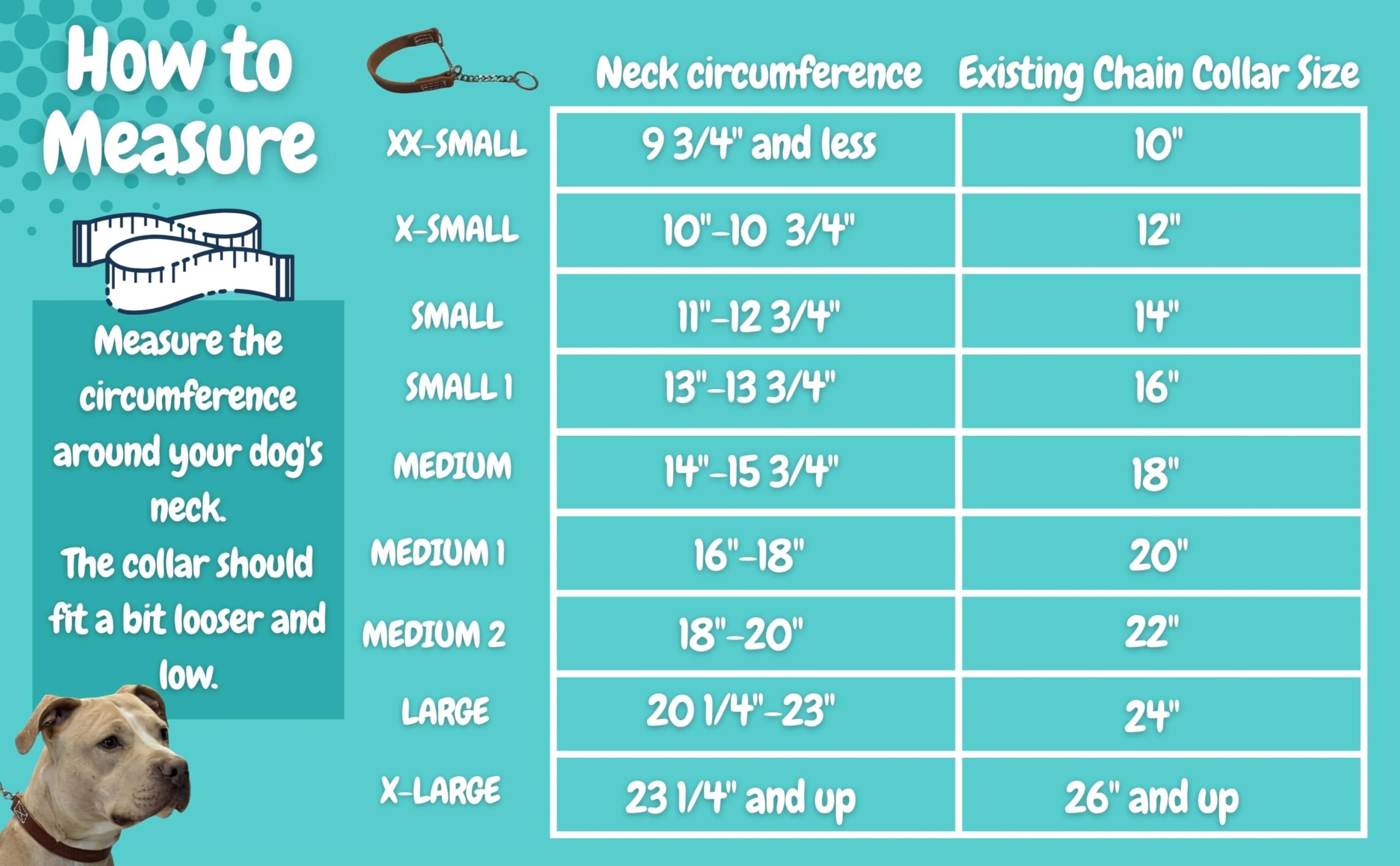 Joel Silverman's Alternative Training Collar (2 Collar Your Choice Special) (Medium2-Medium1)