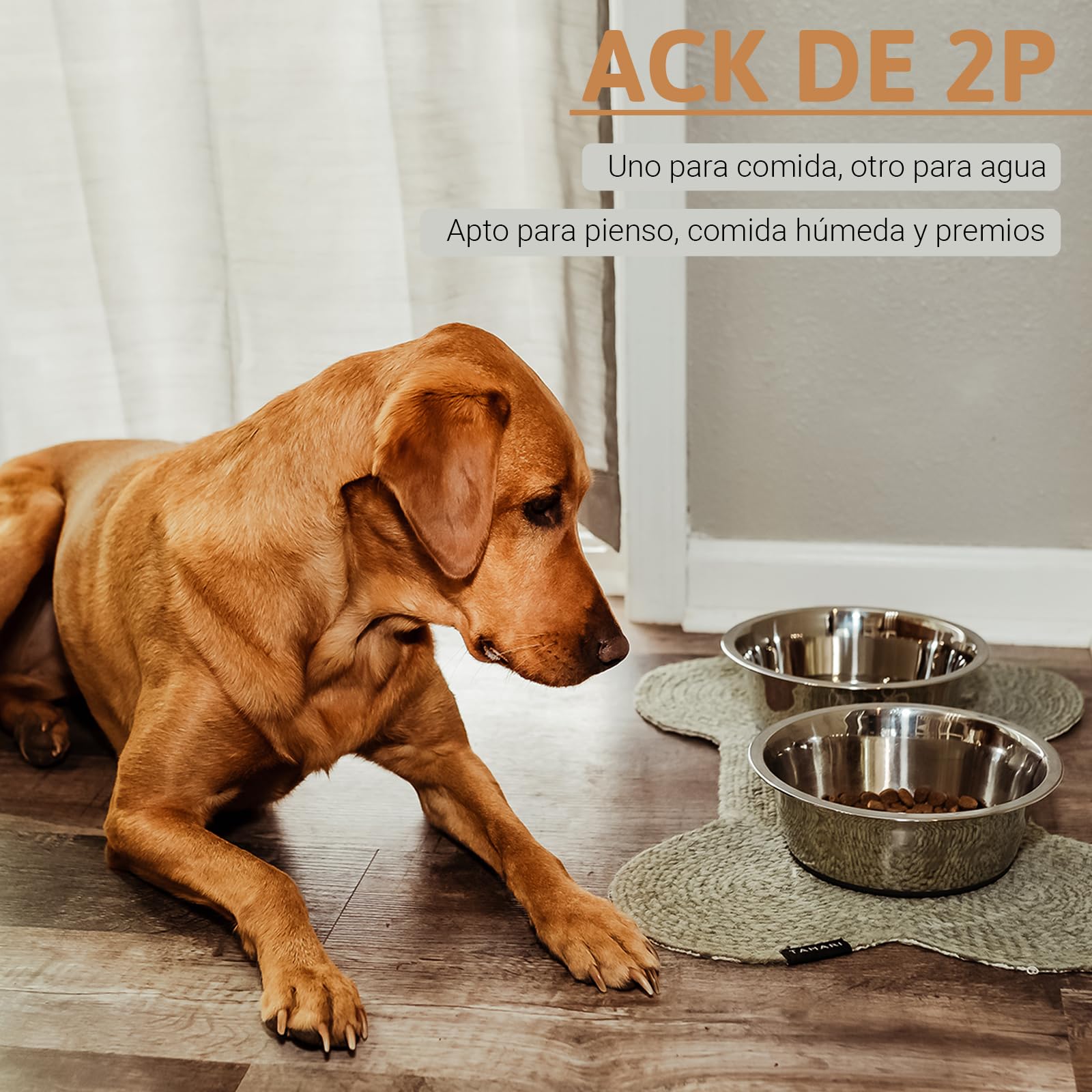 PEGGY11 Cuencos para Perros de Acero Inoxidable, Antideslizantes, Parte Inferior de Goma, Grado Alimenticio, Sin BPA, Aptos para Lavavajillas, Fáciles de Limpiar, 3,8L, 2 Paquetes