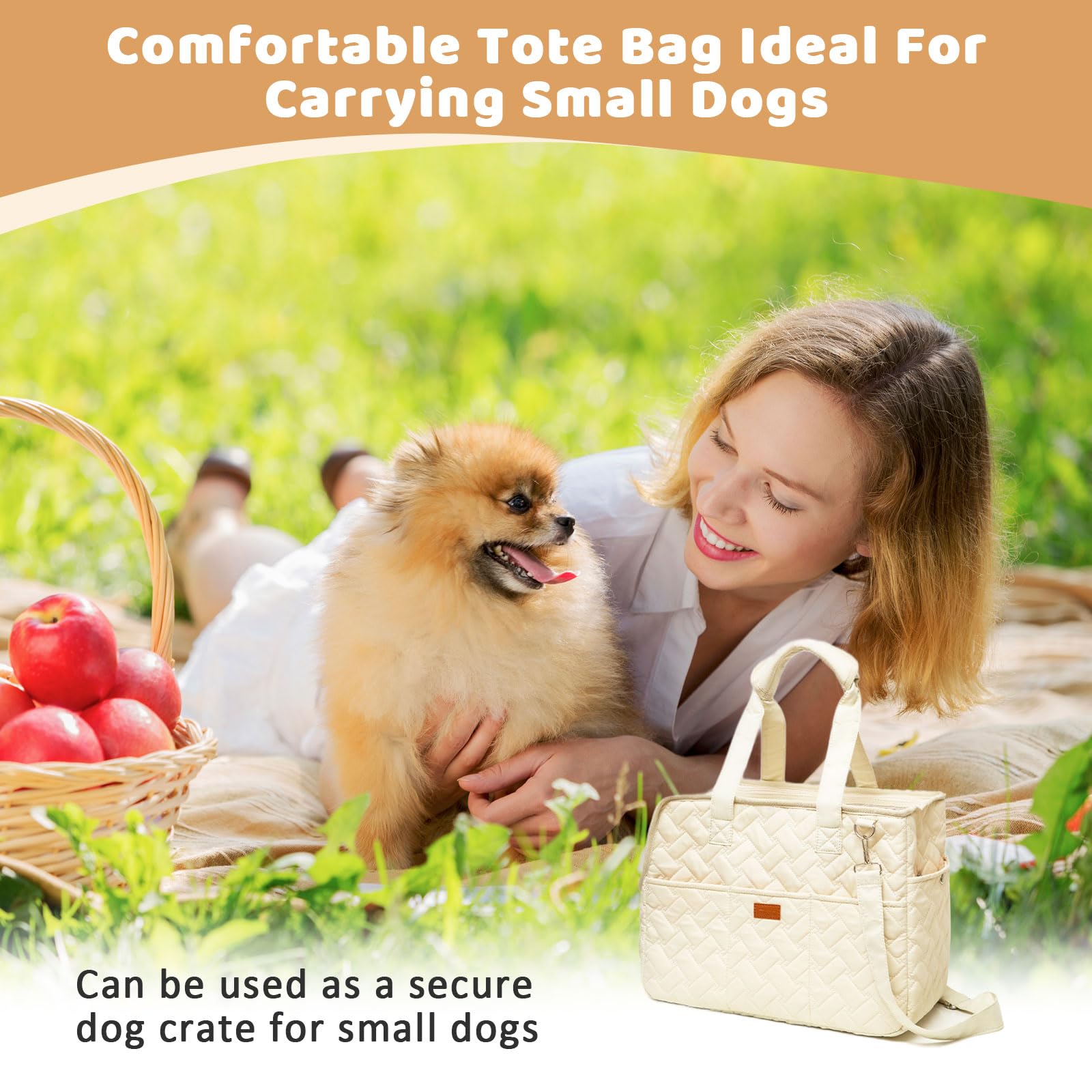 Hundetasche für Kleine Hunde Tragetasche Hund Hundetragetasche bis 5kg Hundetransporttasche 41 x 30 x 18 cm, Faltbar, Atmungsaktiv, mit Sicherheitsgurt, für Kleine Hunde Kaninchen Katze