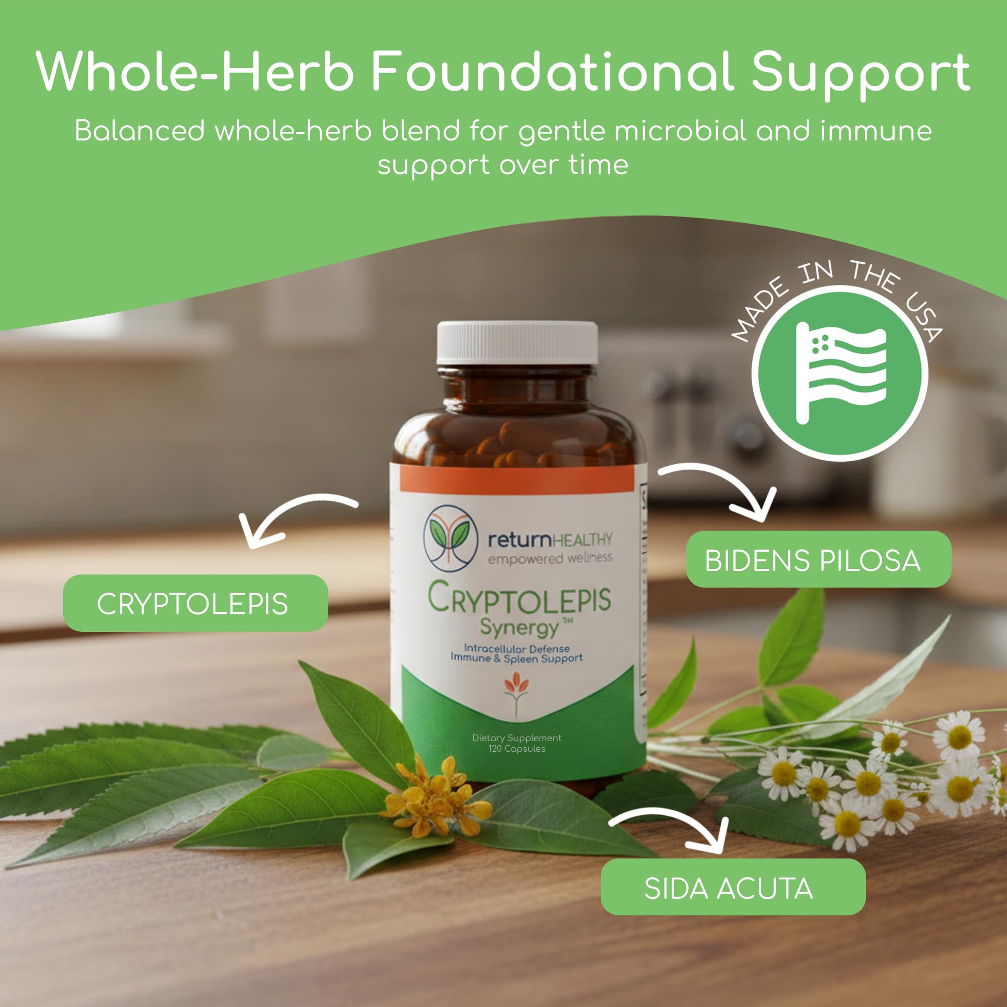 Cryptolepis Synergy, Immune Support Vitamins, Immune System Booster for Adults, Liver, Lymphatic, & Immune Support Supplement, Supports Lyme & Natural Parasite Defense, 120 Capsules — Amazon image 2