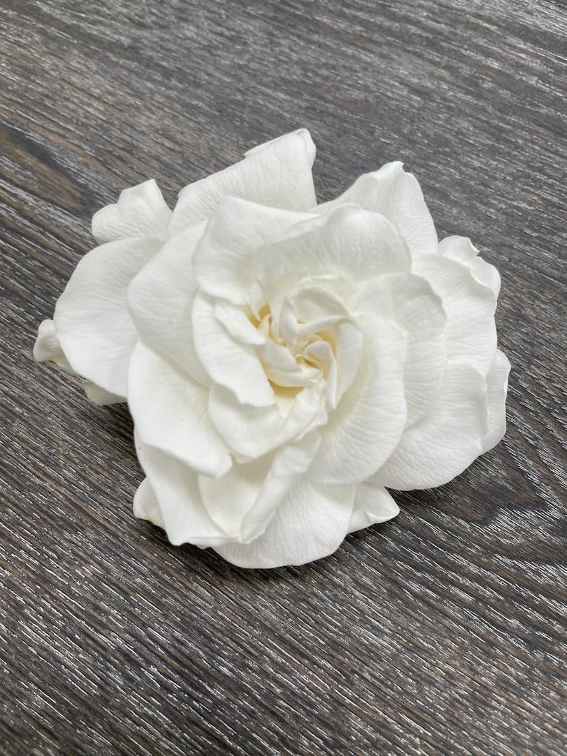 3 Real Preserved White Gardenia Blooms, Dried Flowers,