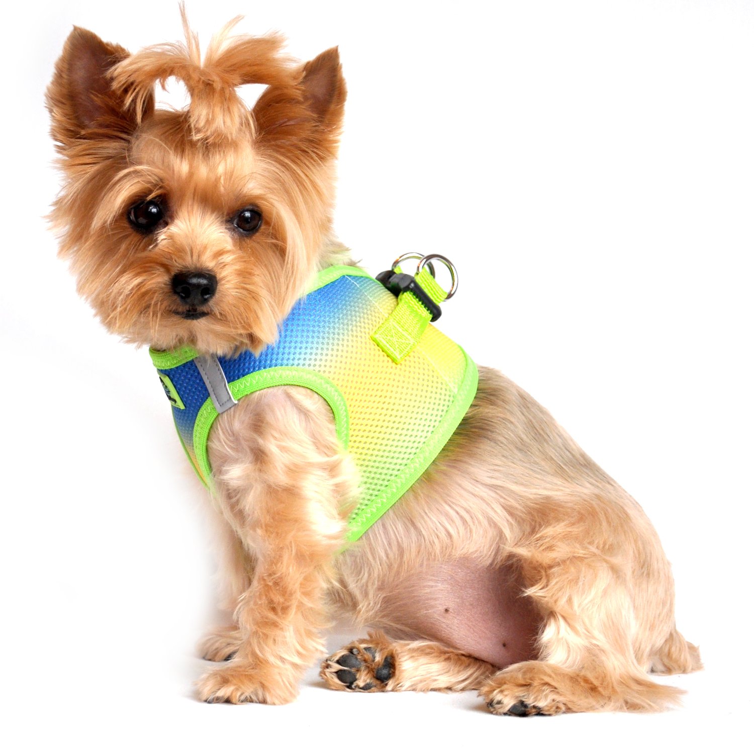 American Río perro arnés Ombre colección