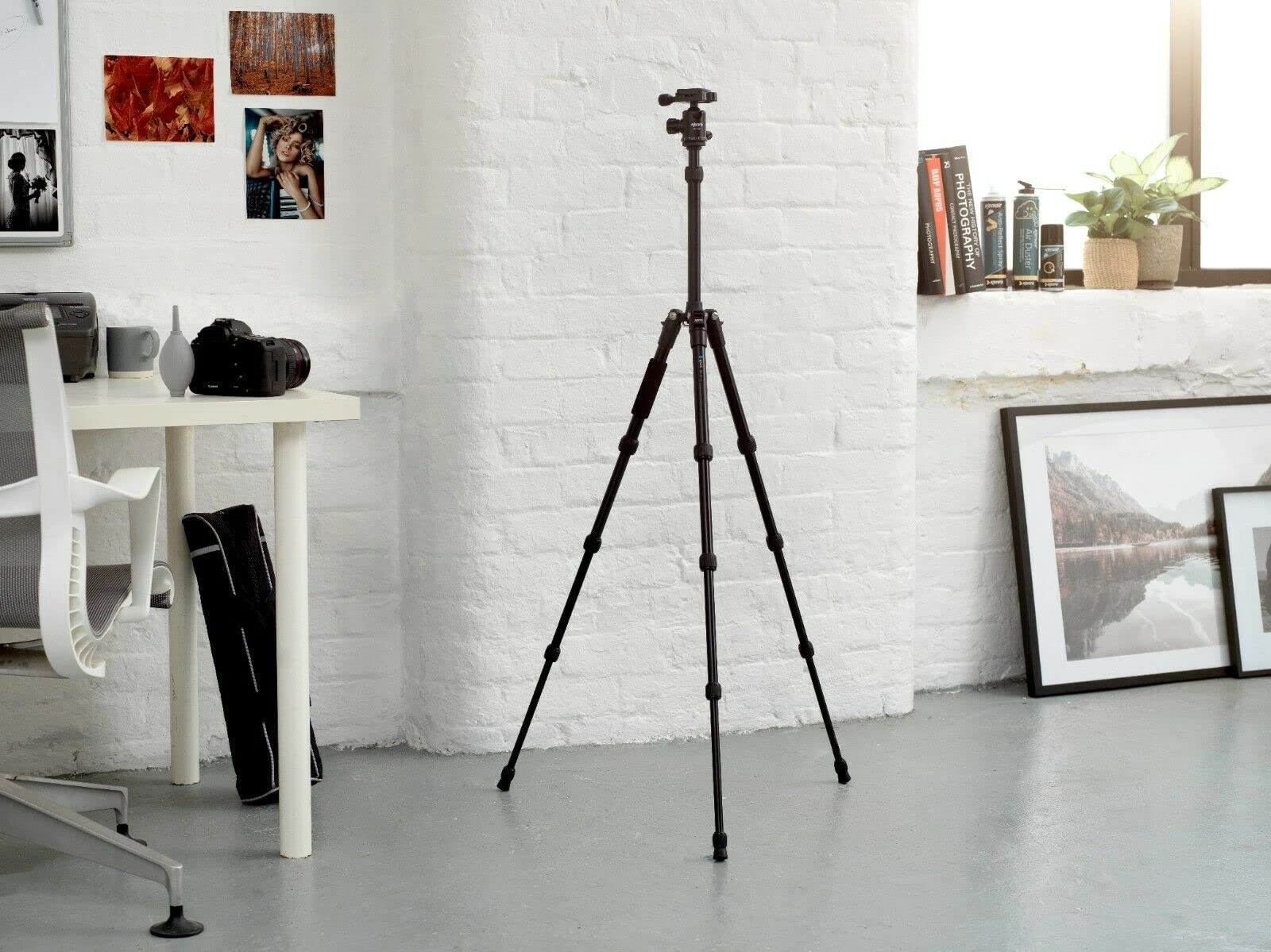 Kenro Karoo Monopod Kit With Dual Action Head And Quick Release Plate - KENTR302