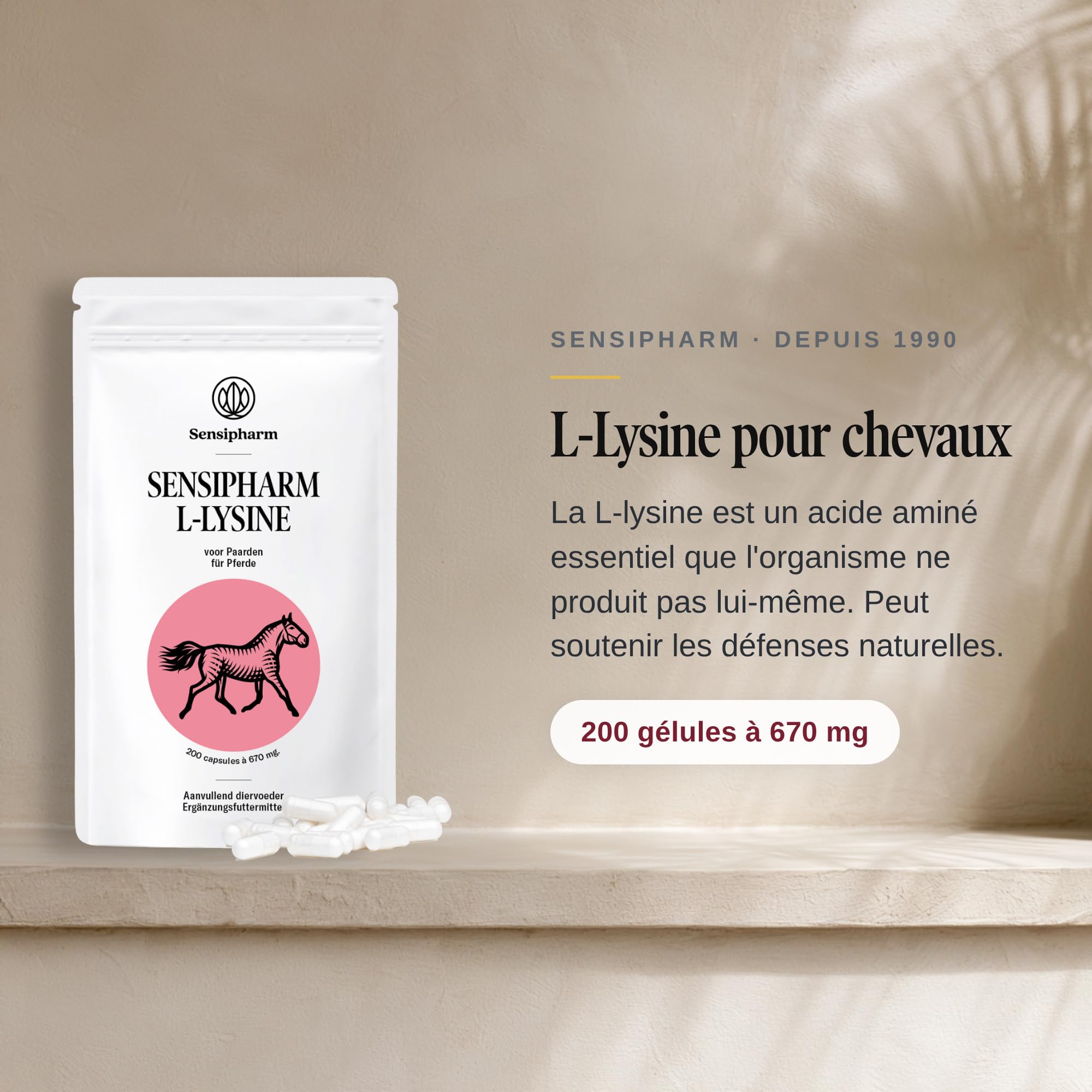 L-Lysine Cheval 670 MG - Acides Aminés & Muscles - 200 Gélules