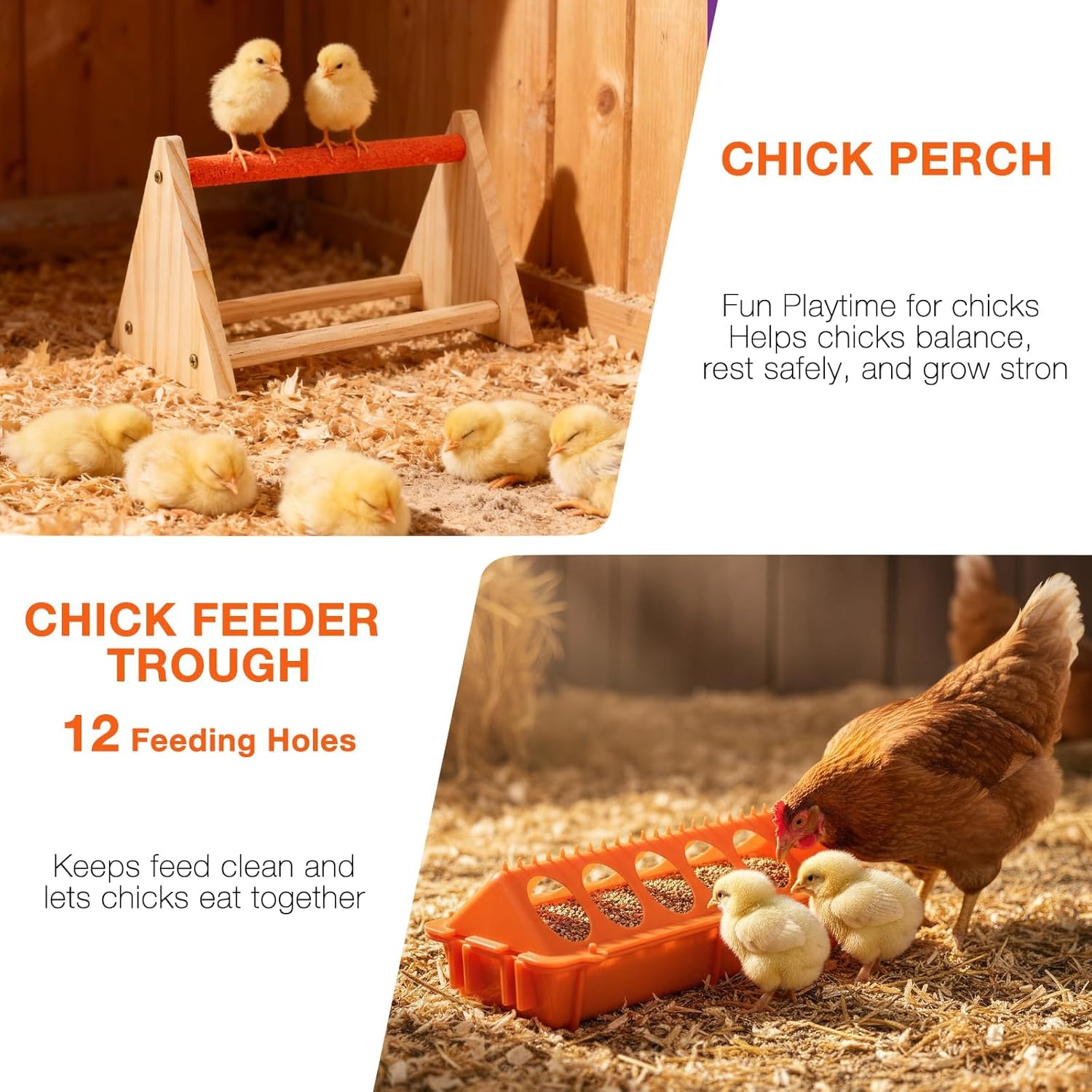 Chicken Feeder and Waterer Set,Automatic 1L Chick Feeder and Waterer with 2 Wooden Perch,Baby Chicks Supplies for Ducks,Quail,Small Poultry Coop Accessories